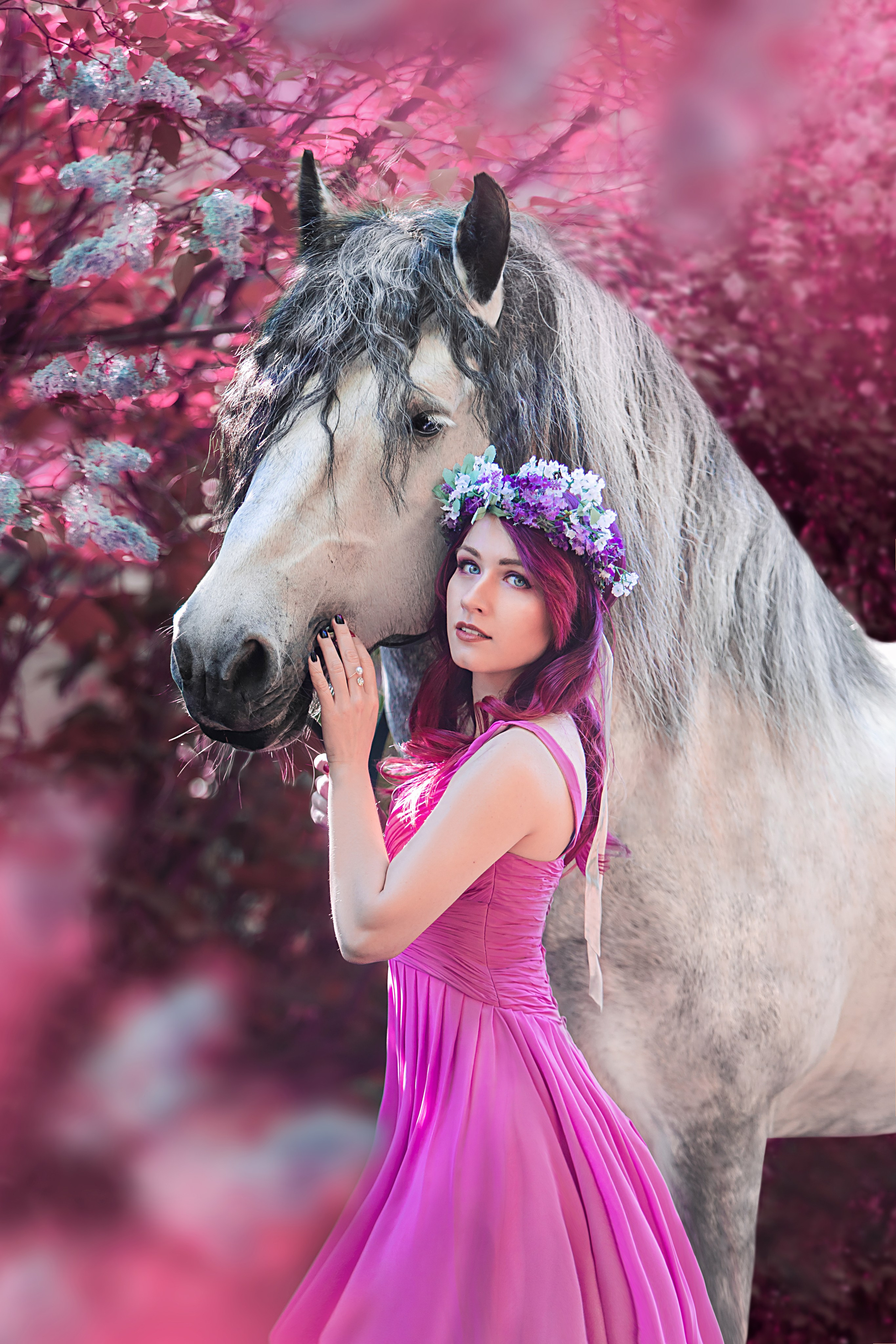 Фотосессии с лошадьми. Главная