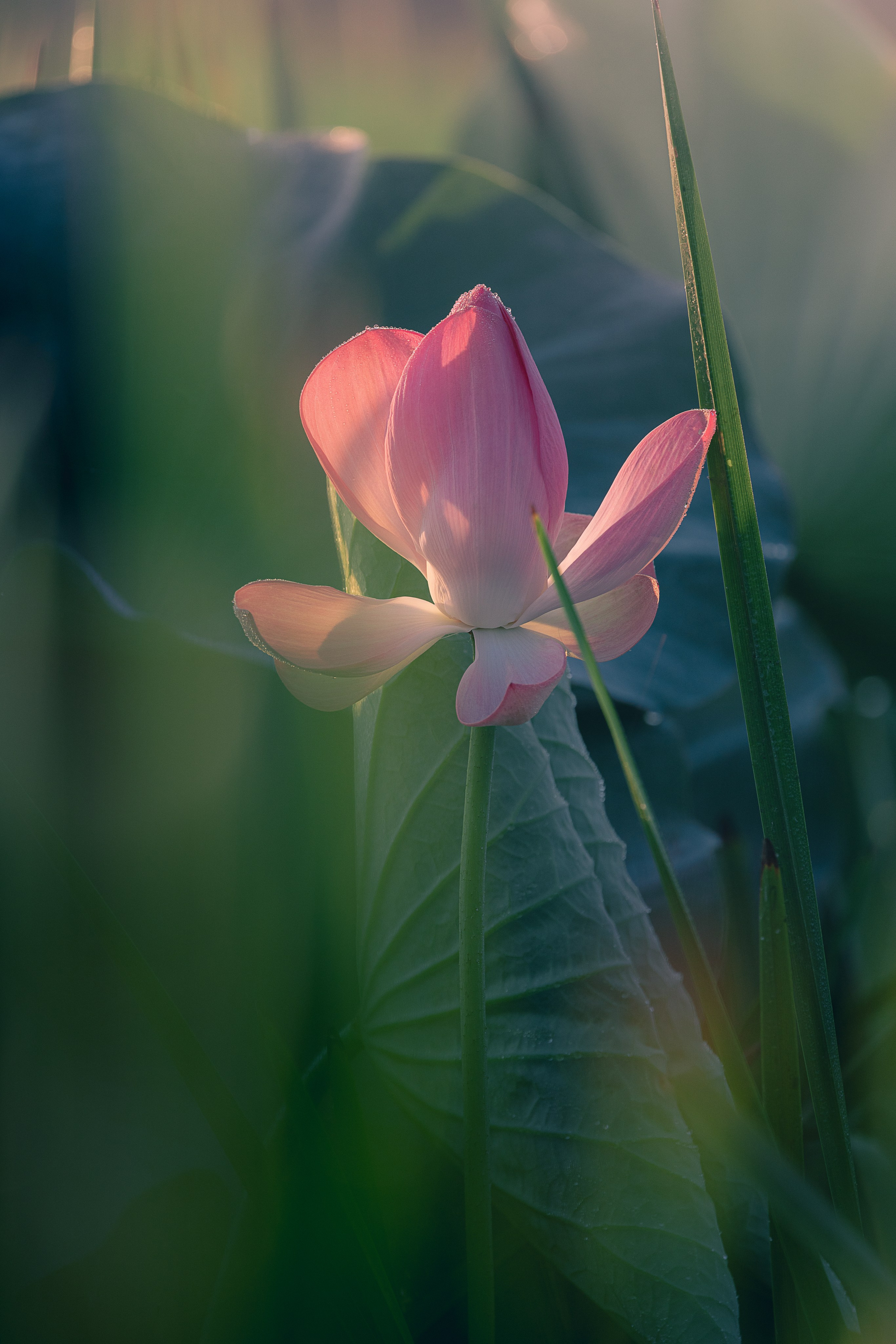 Астраханская область 2025 | Фотограф Дмитрий Купрацевич. Дмитрий Купрацевич профессиональный пейзажный и travel-фотограф