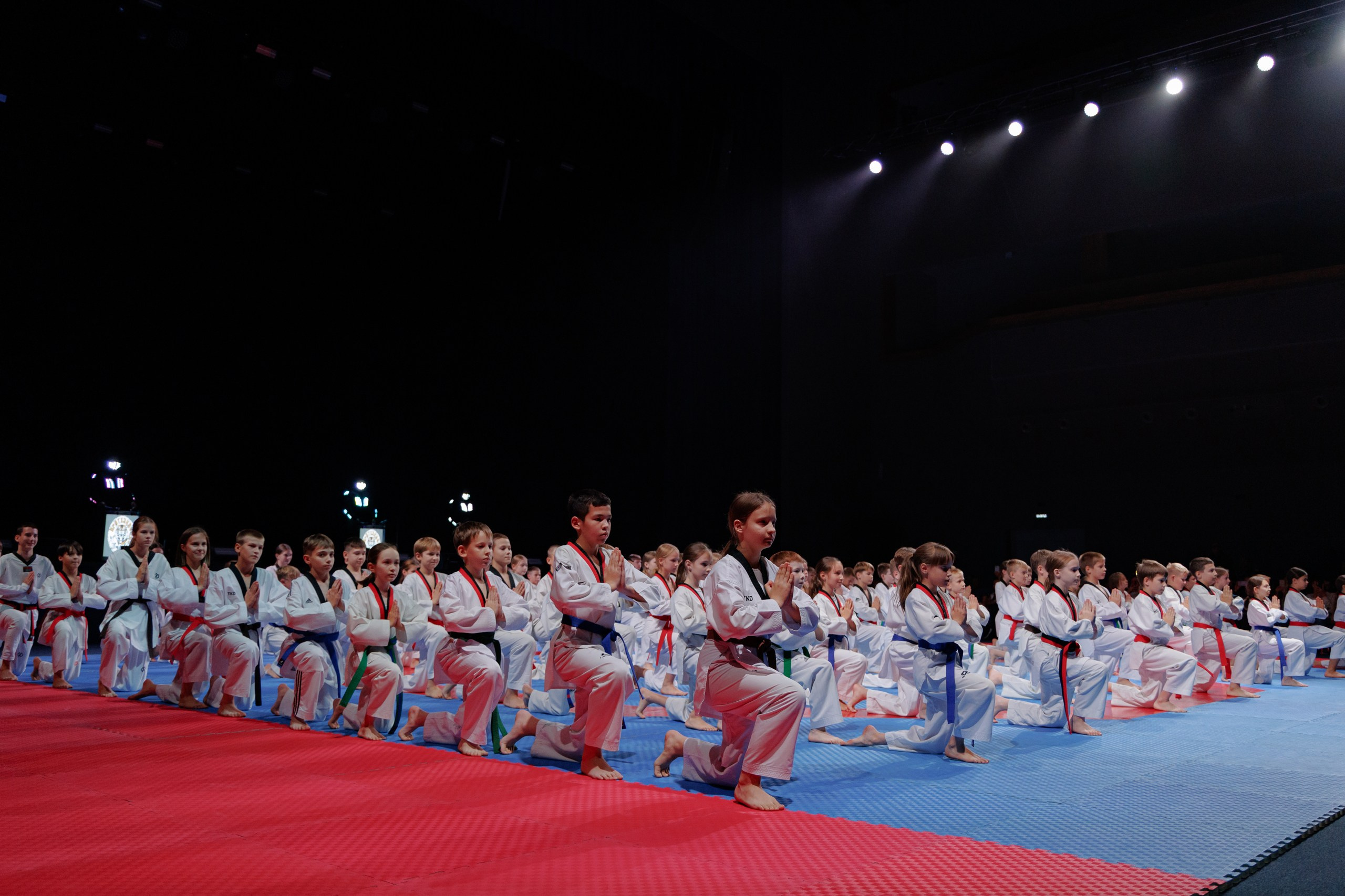 ПроТхэквондо Тур | Финальный этап