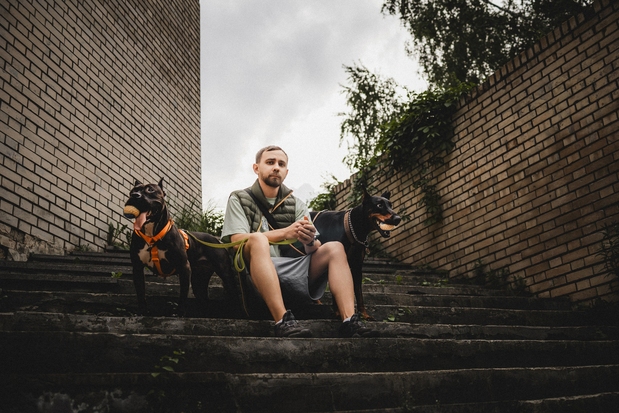 Паша, Хайди и Тея