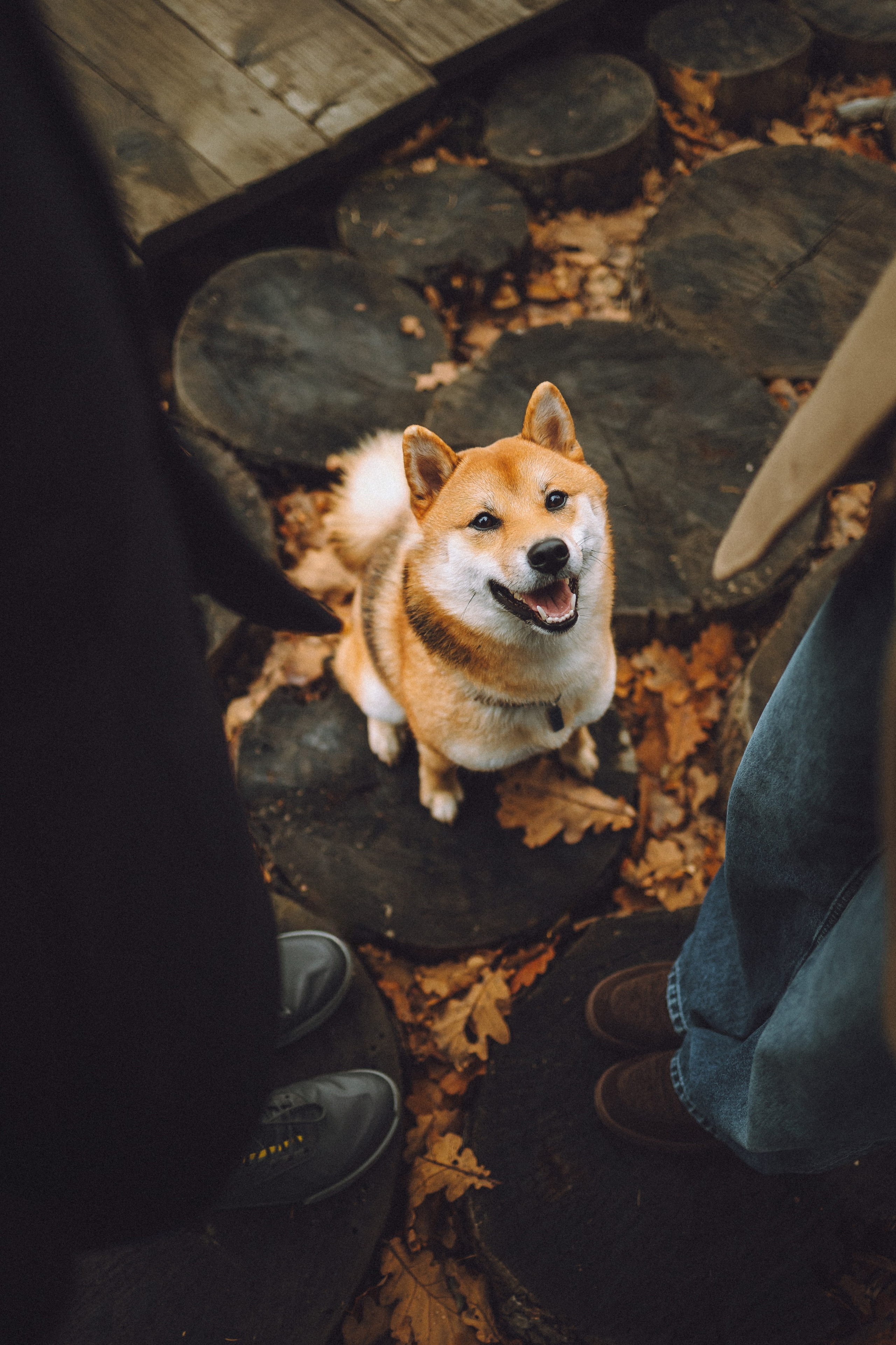 Настя, Юра и Скай