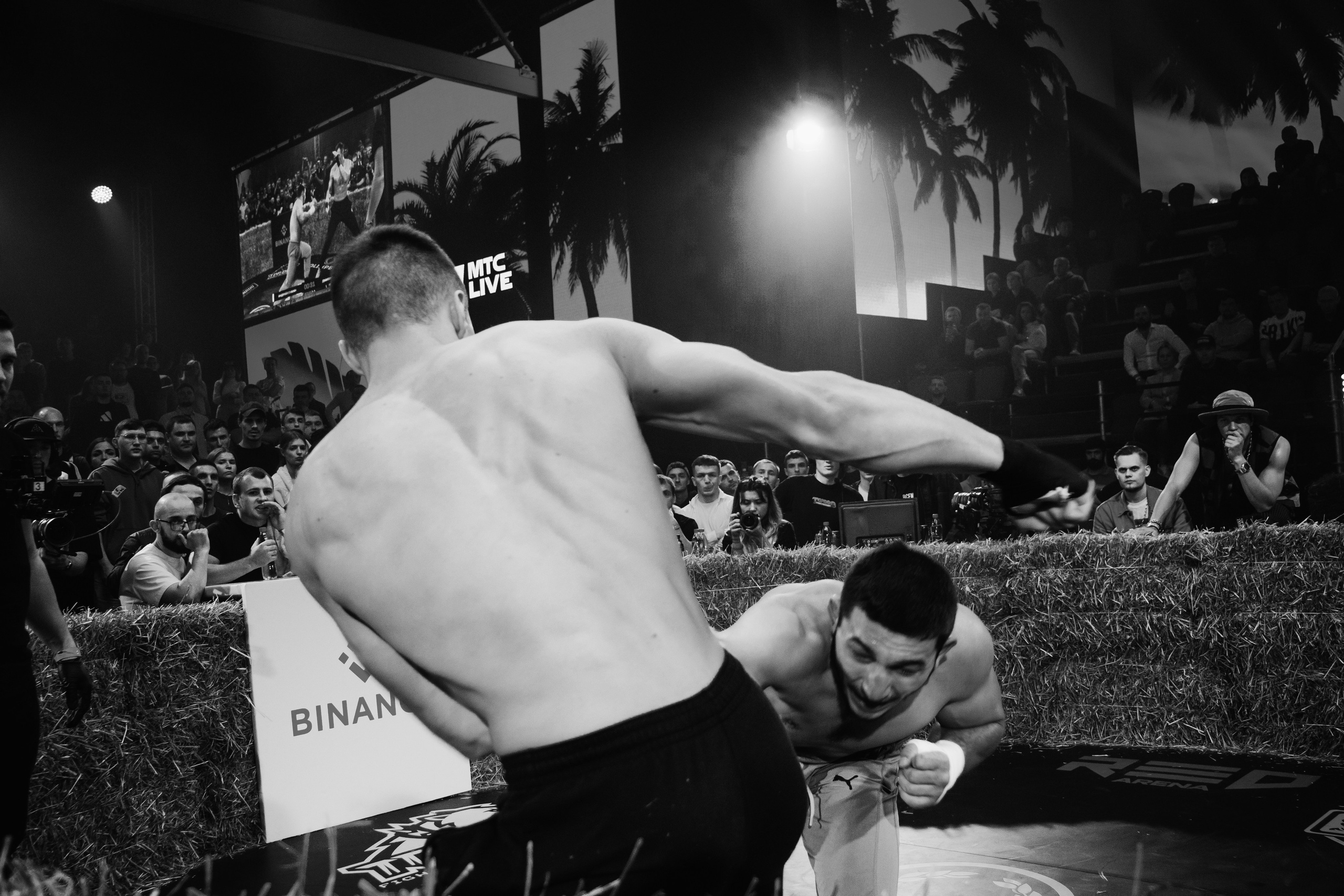 Кулачные бои TopDog. Анастасия Тен