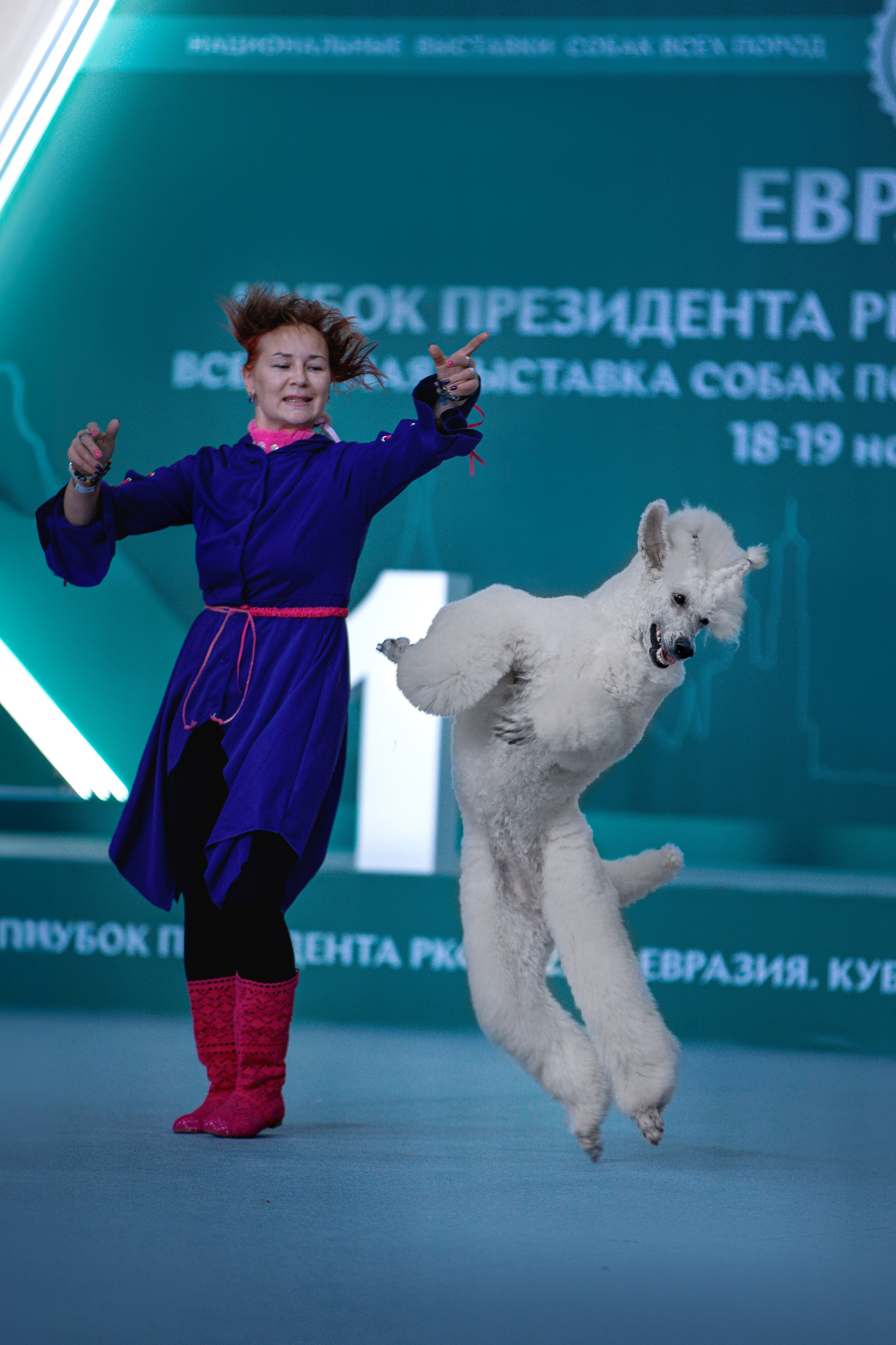 Евразия 2023. Фотограф анималист в Москве Майорова Евгения