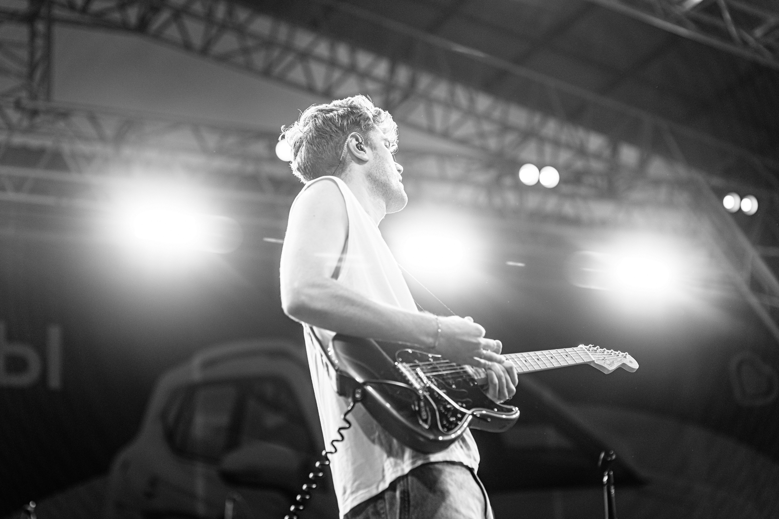 Репортажная съёмка фестиваля 4 лапы. Репортажный и персональный фотограф в Москве