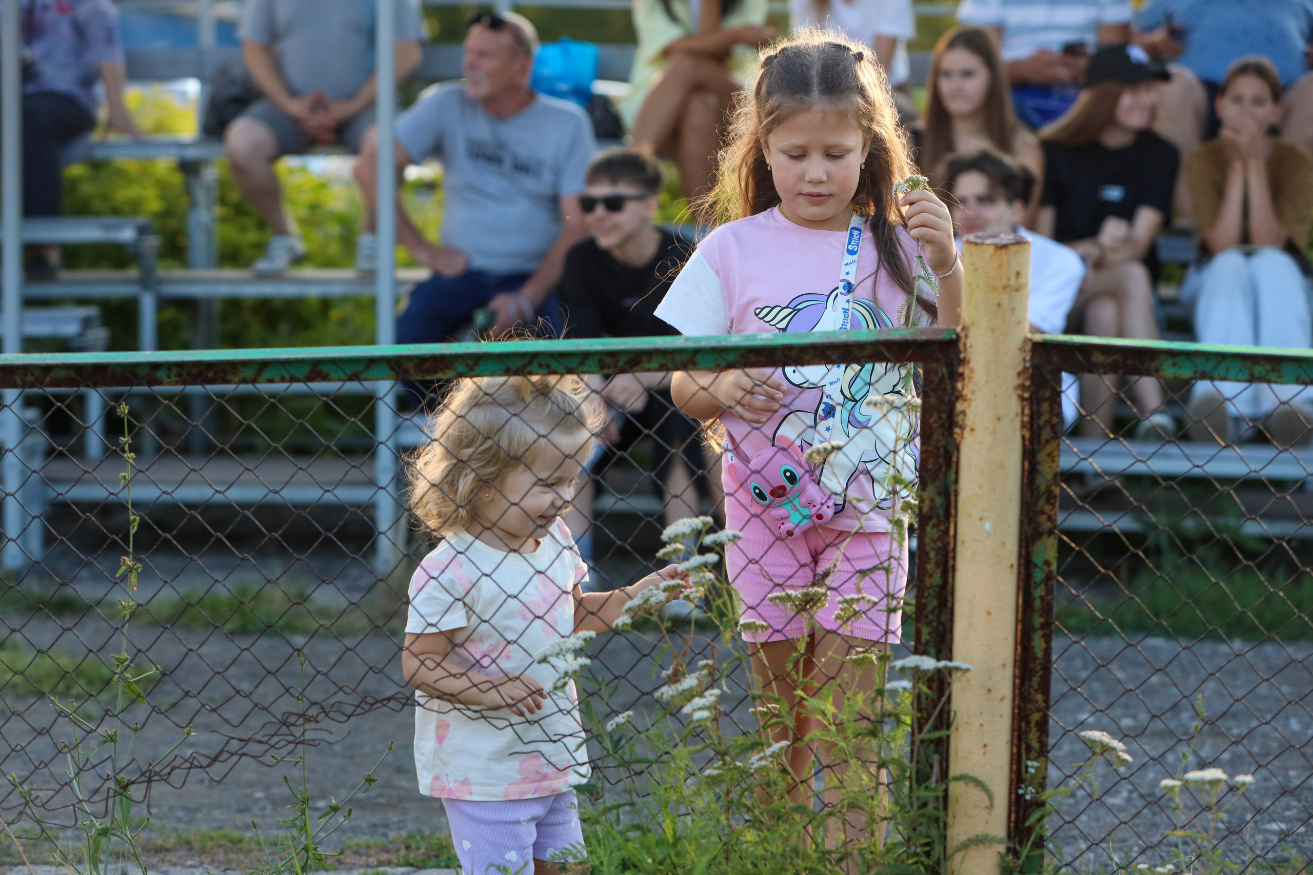 Чайка — Волжанин. Взрослое первенство города. Спортивный фотограф в Самаре