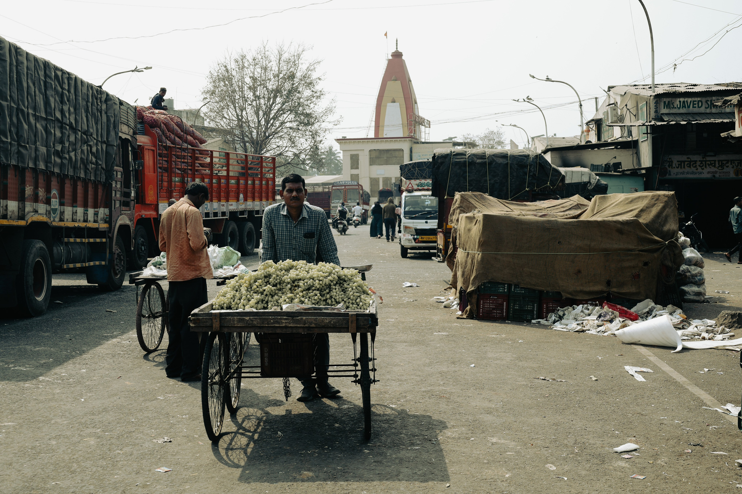India. Фотограф в Москве