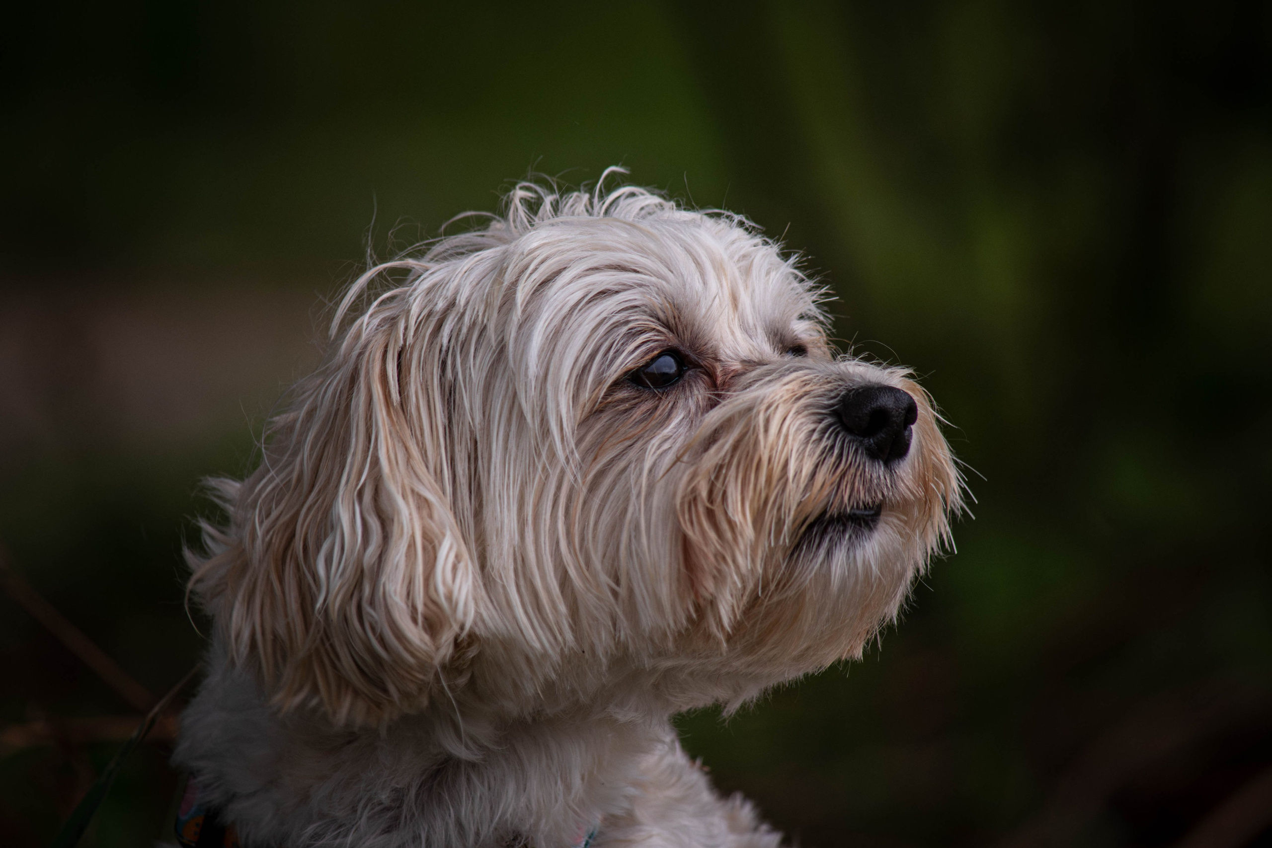Прогулка в парке Митино. Фотограф Светлана Блинова, Москва и Московская область