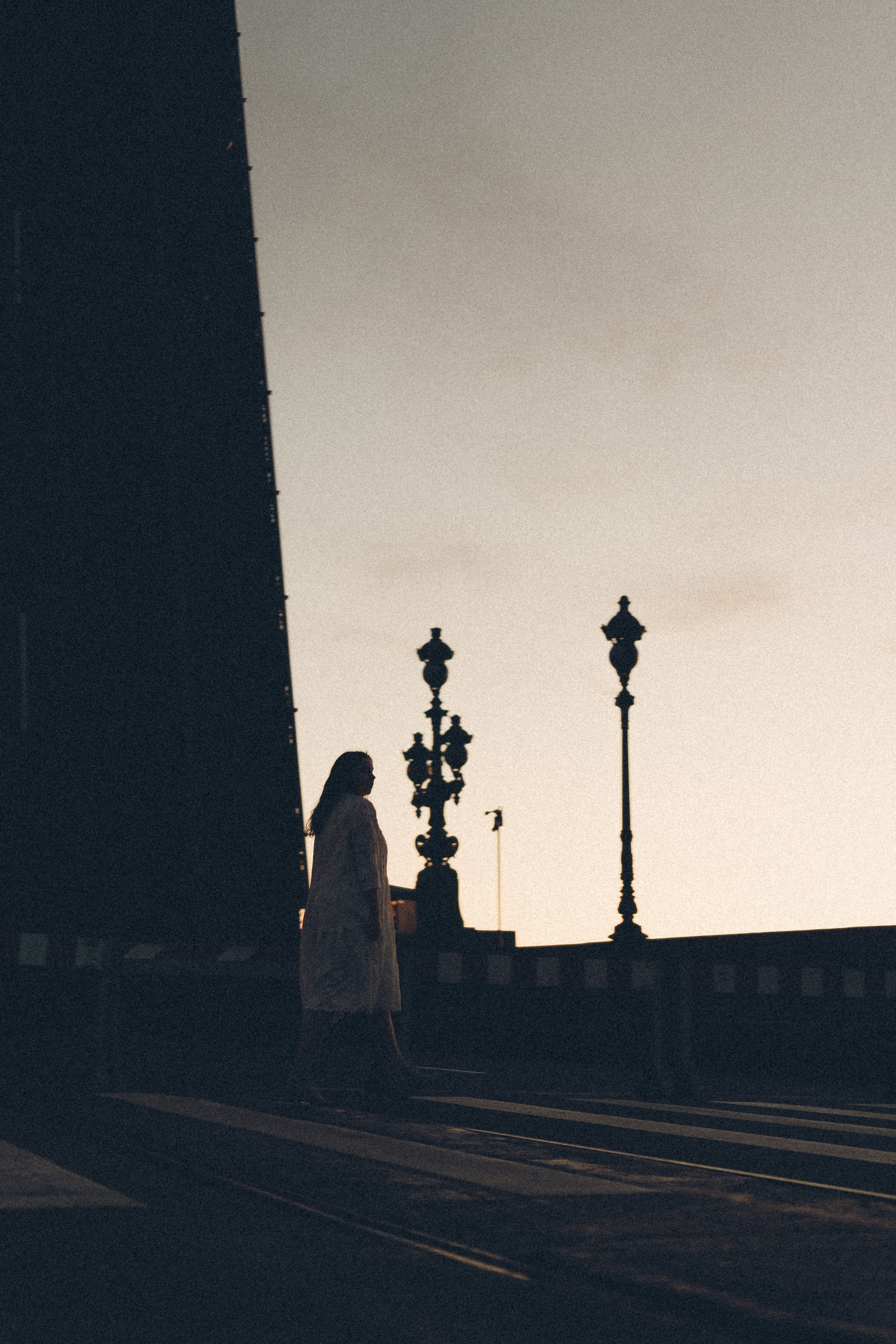 РАССВЕТ С РАЗВОДНЫМИ МОСТАМИ. Профессиональный фотограф, Санкт-Петербург — Виктория Богомолова