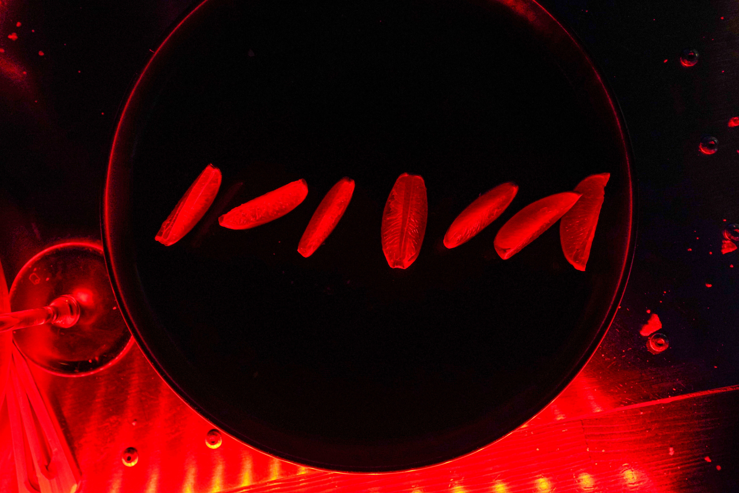 ВЕЧЕРИНКА. Фотограф Рамиль Фасхутдинов