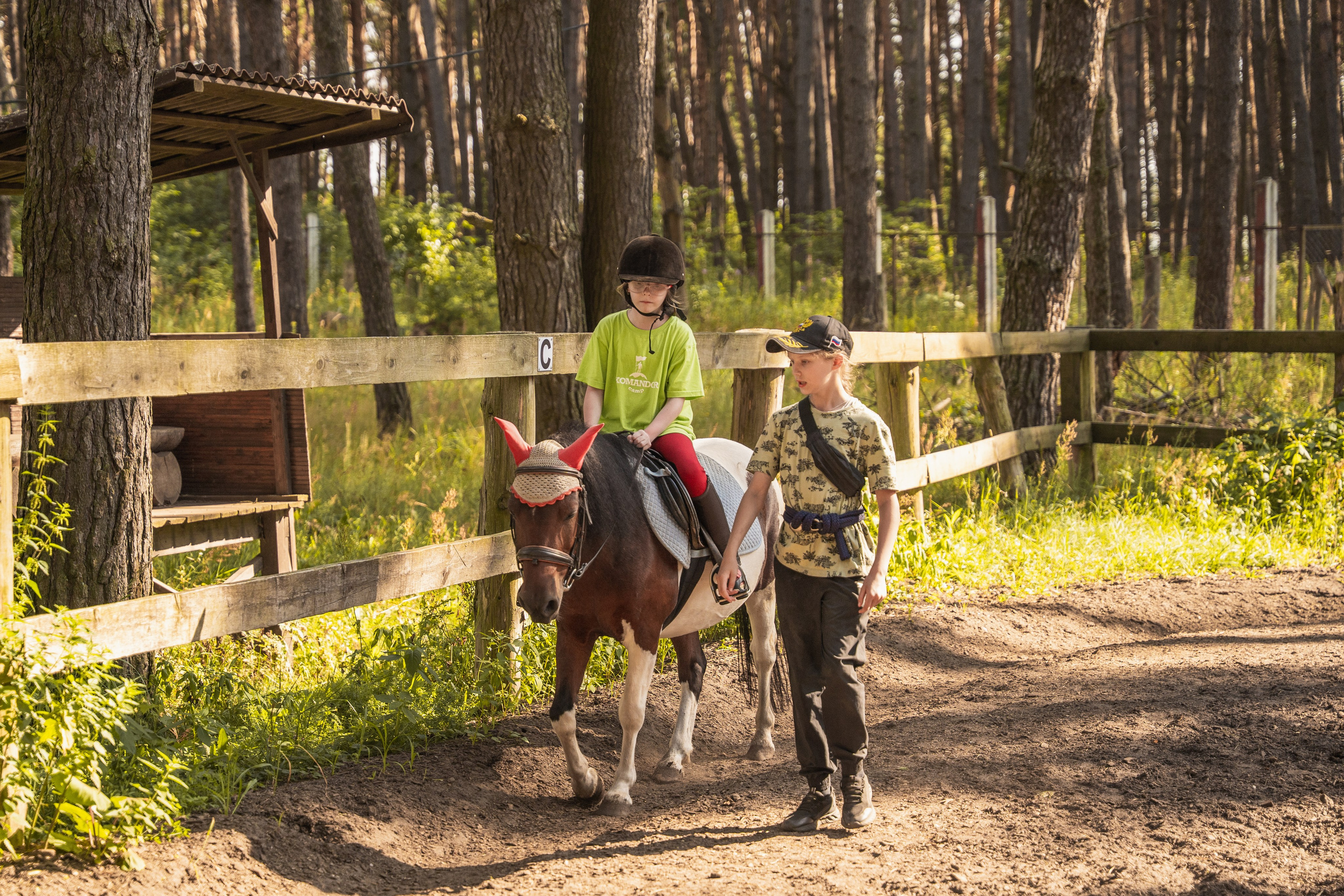 Конное занятие. Главная