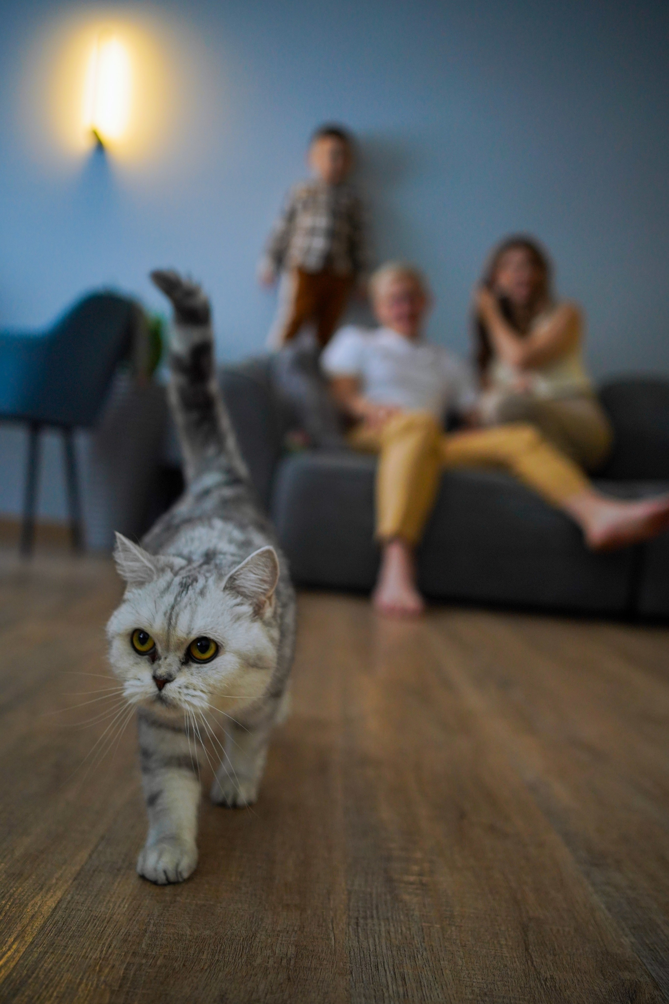 Лера Галактика. Главная