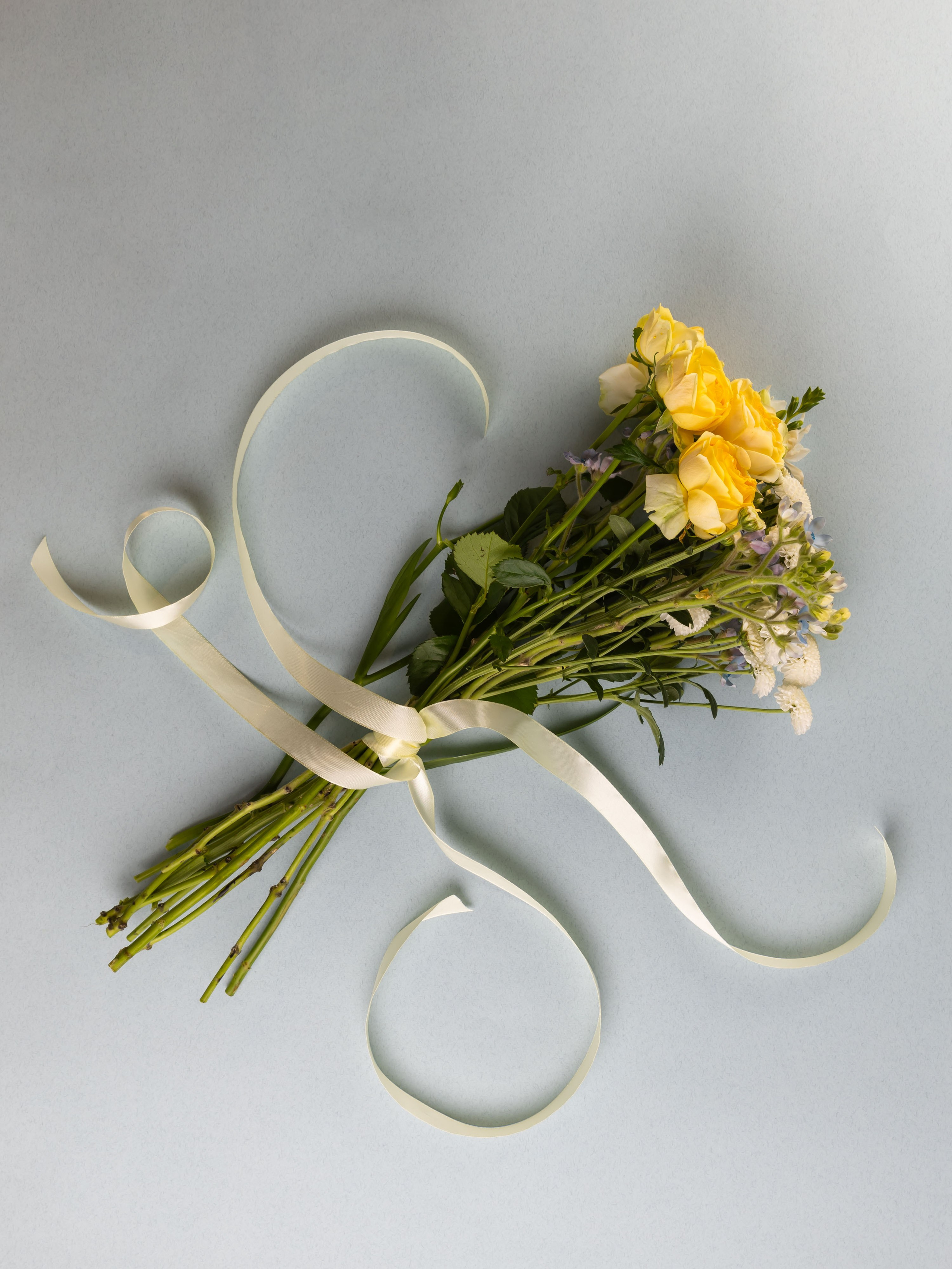 01.08.2025 Фотосессия Цветополис. ФОТОГРАФ ВИНОГРАДОВА ДАРЬЯ