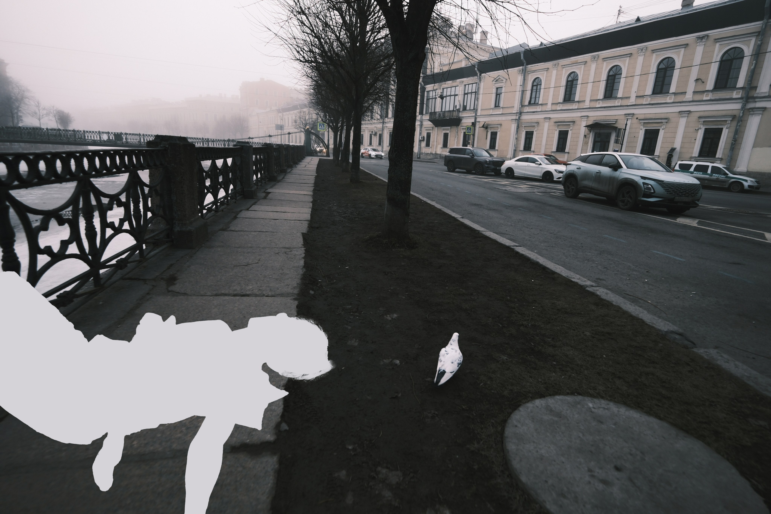 Если тебе отрезать руку, разве тебя станет меньше?. Курочкина Софья