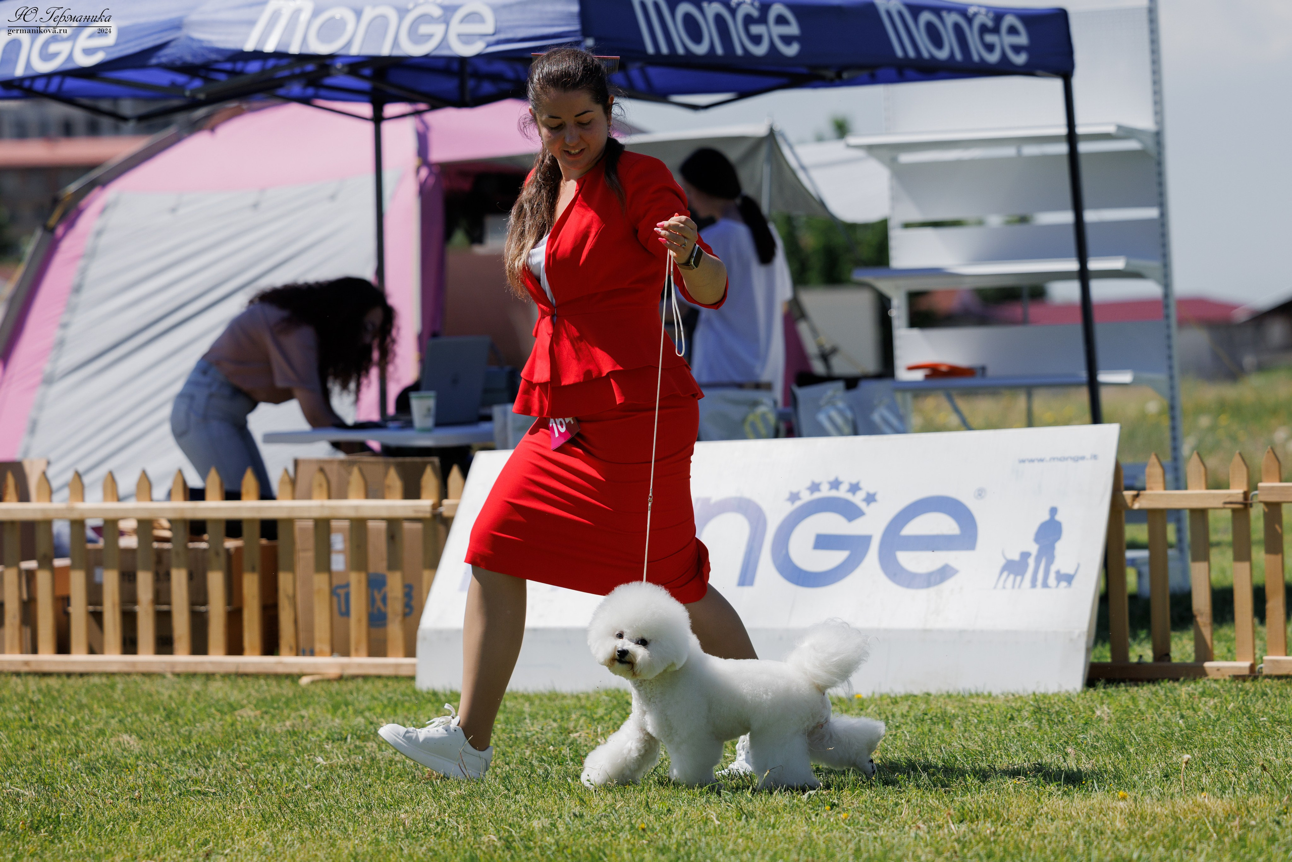 Ереван 3-5.06.2024. Фотограф-анималист Юлия Германика
