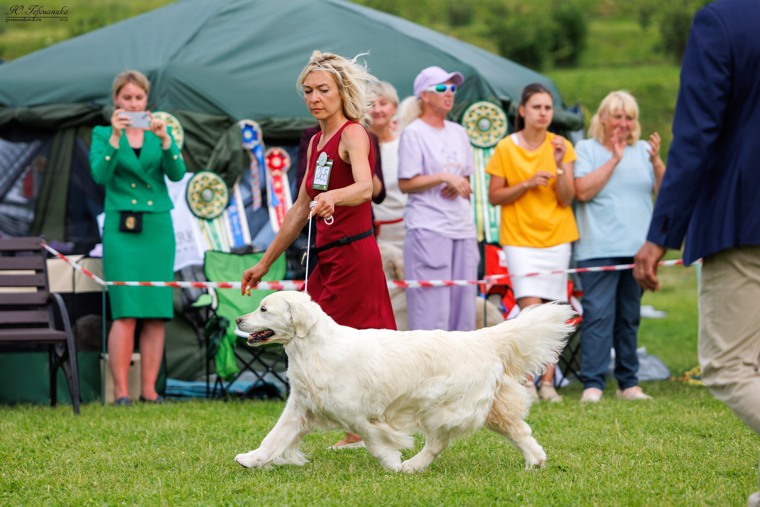Голдены 15-16.06.2024. Фотограф-анималист Юлия Германика
