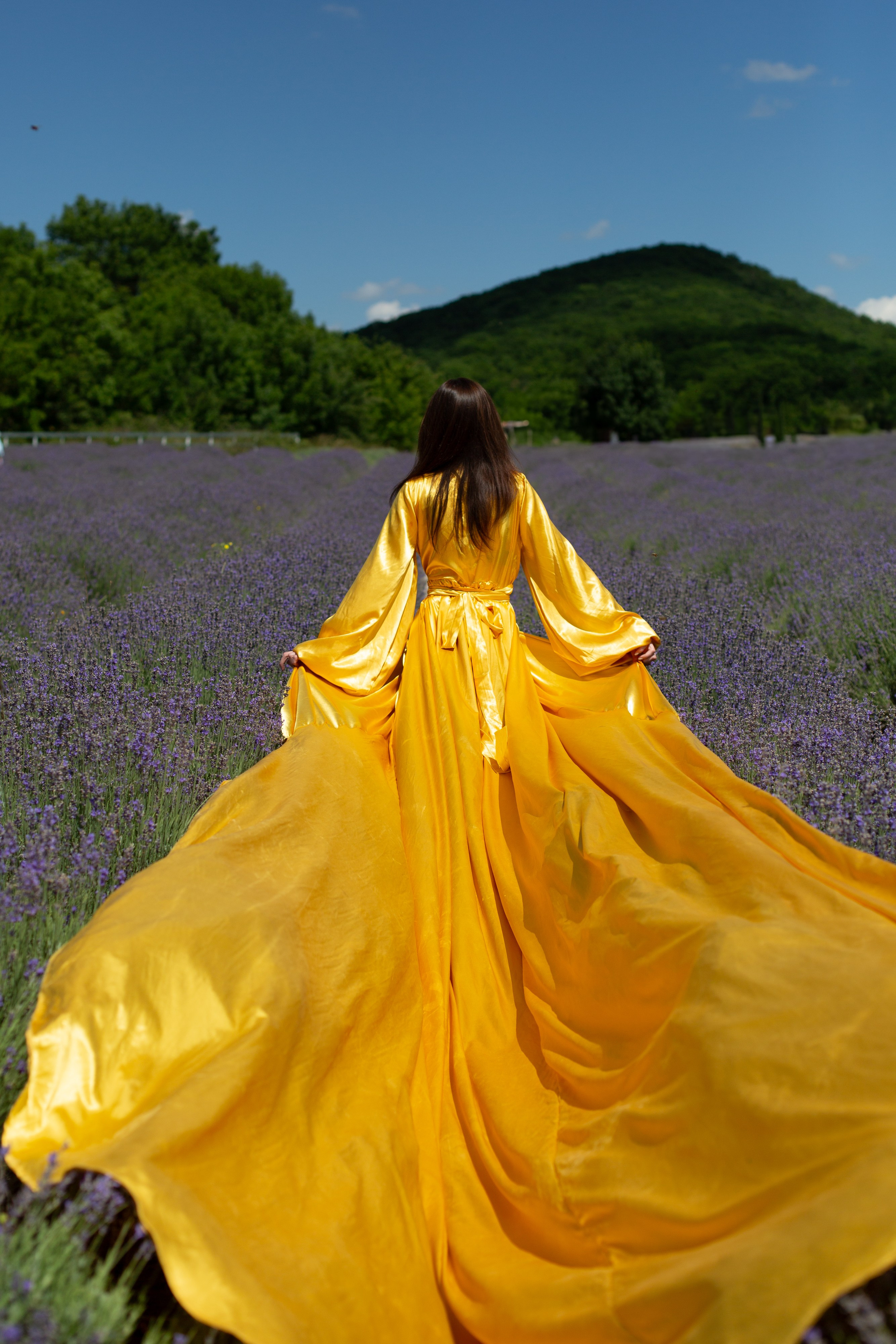 Лавандовые поля