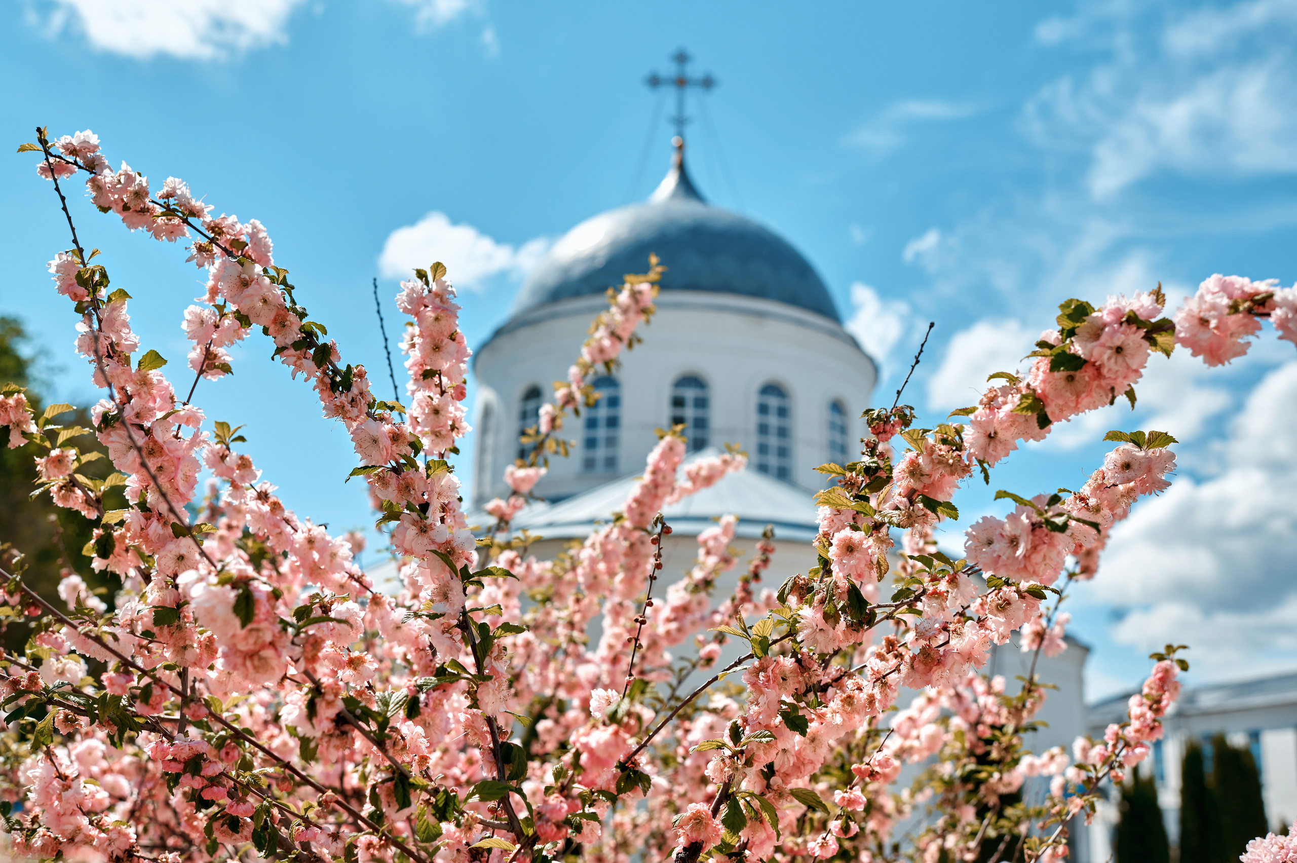 Дивногорский мужской монастырь. Фотограф в Воронеже Тазаева Светлана