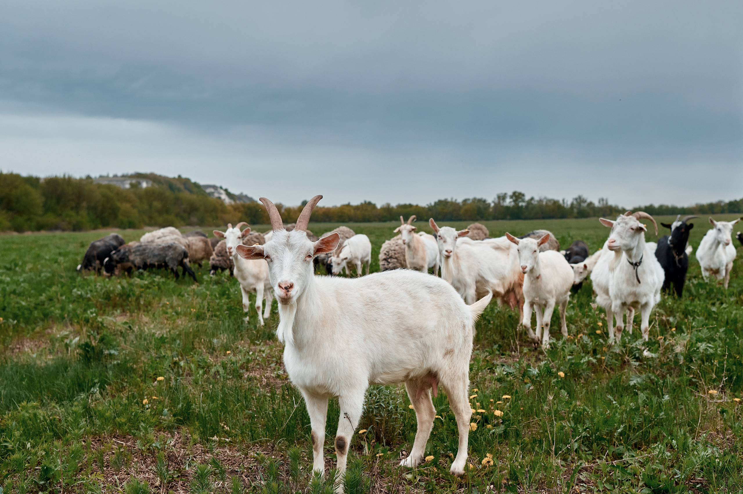 Дивногорский мужской монастырь. Фотограф в Воронеже Тазаева Светлана