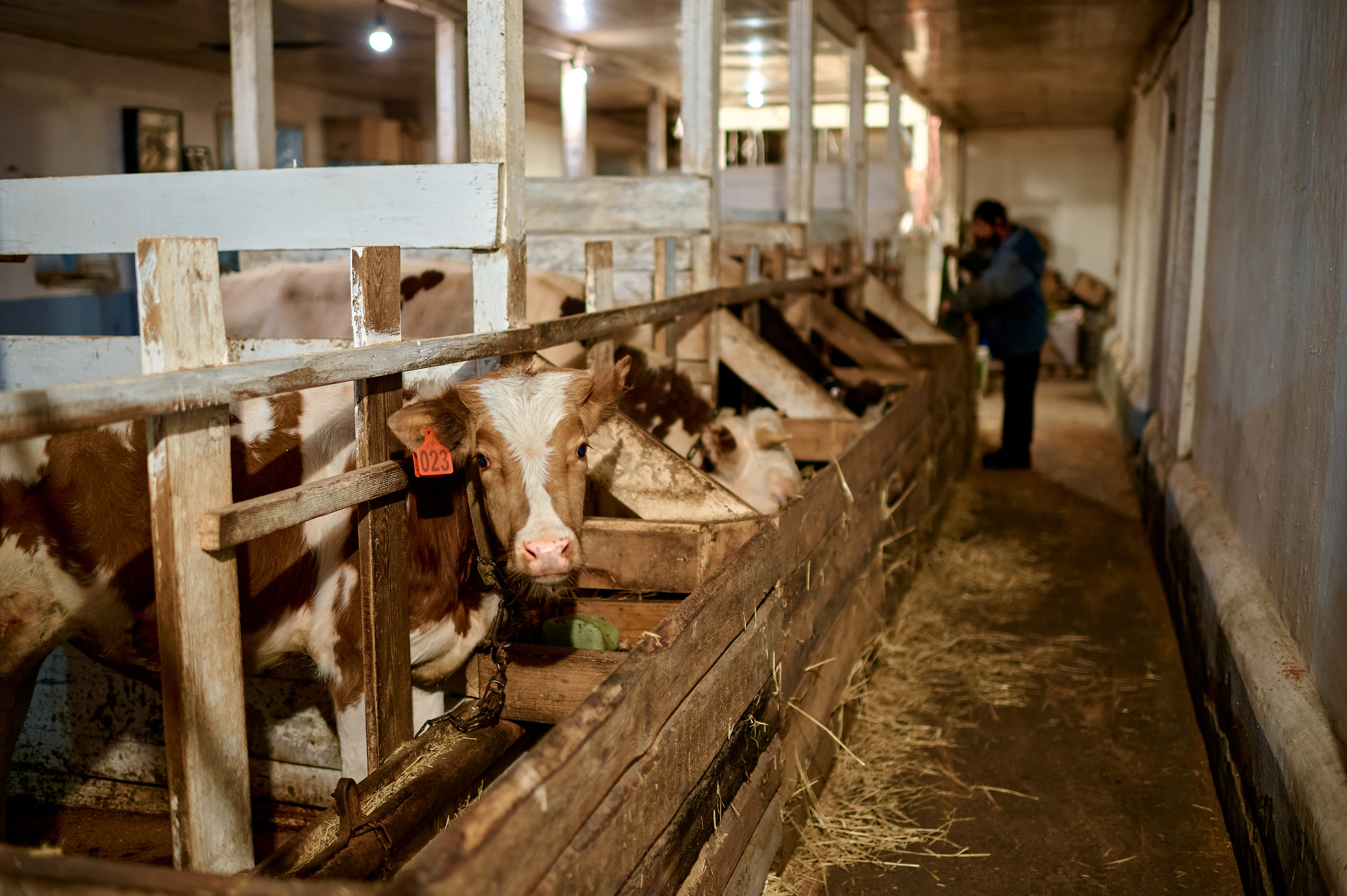 Дивногорский мужской монастырь. Фотограф в Воронеже Тазаева Светлана
