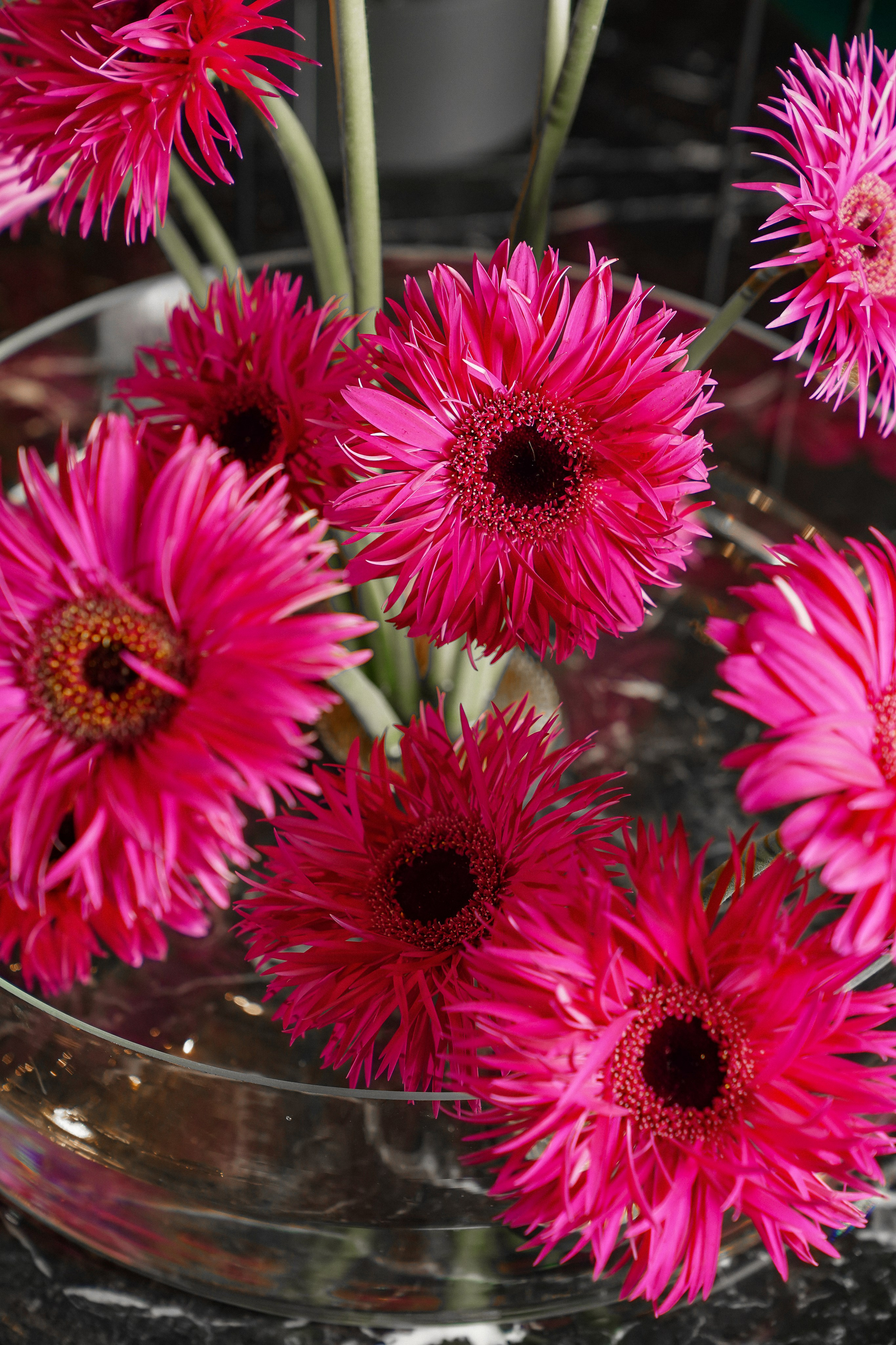 Garden Rose. Контентный и свадебный фотограф в Краснодаре и Сочи Елена Плотникова