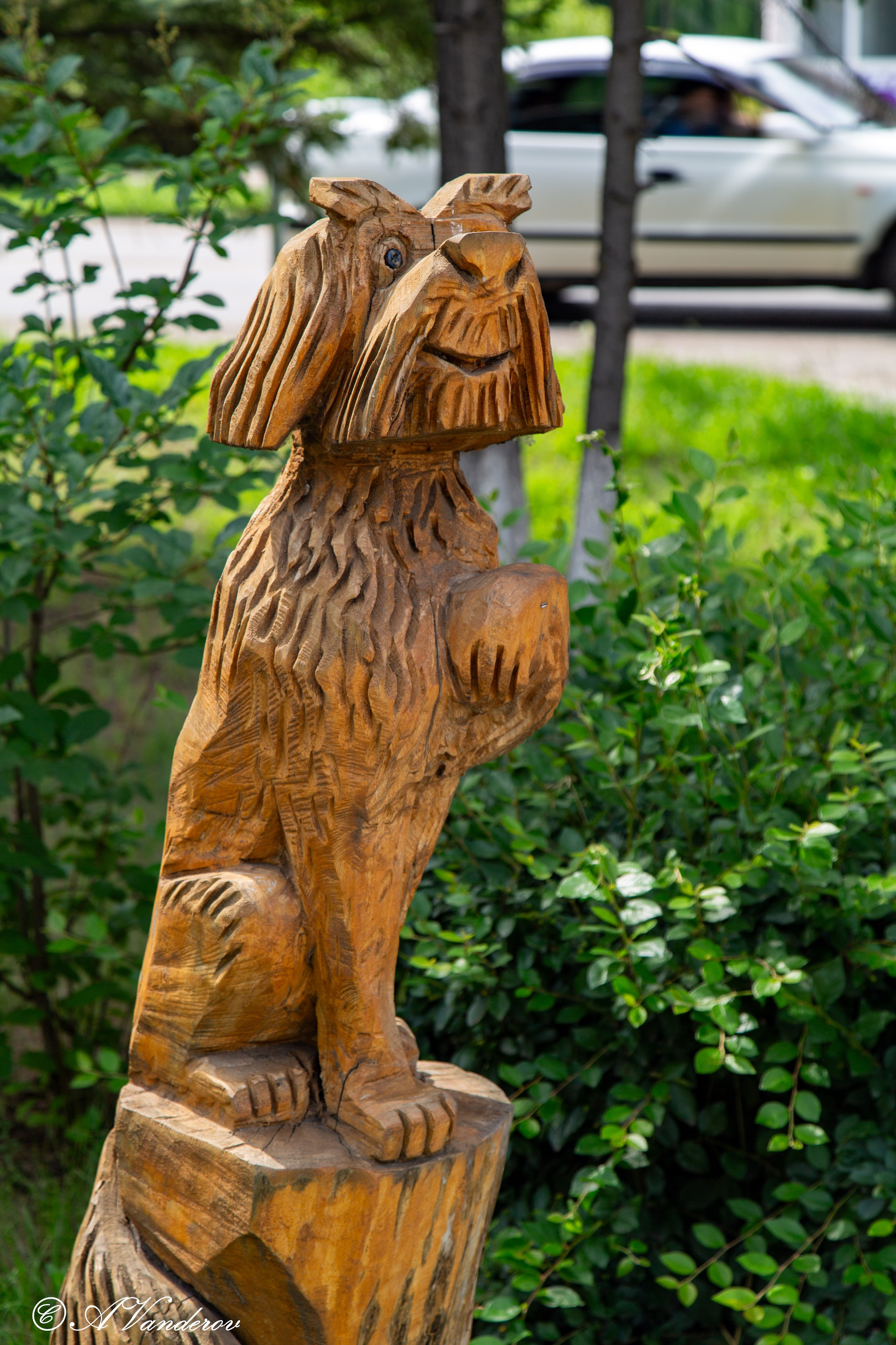 Калачинск 07.07.2024. Фотограф Омск | Александр Вандеров