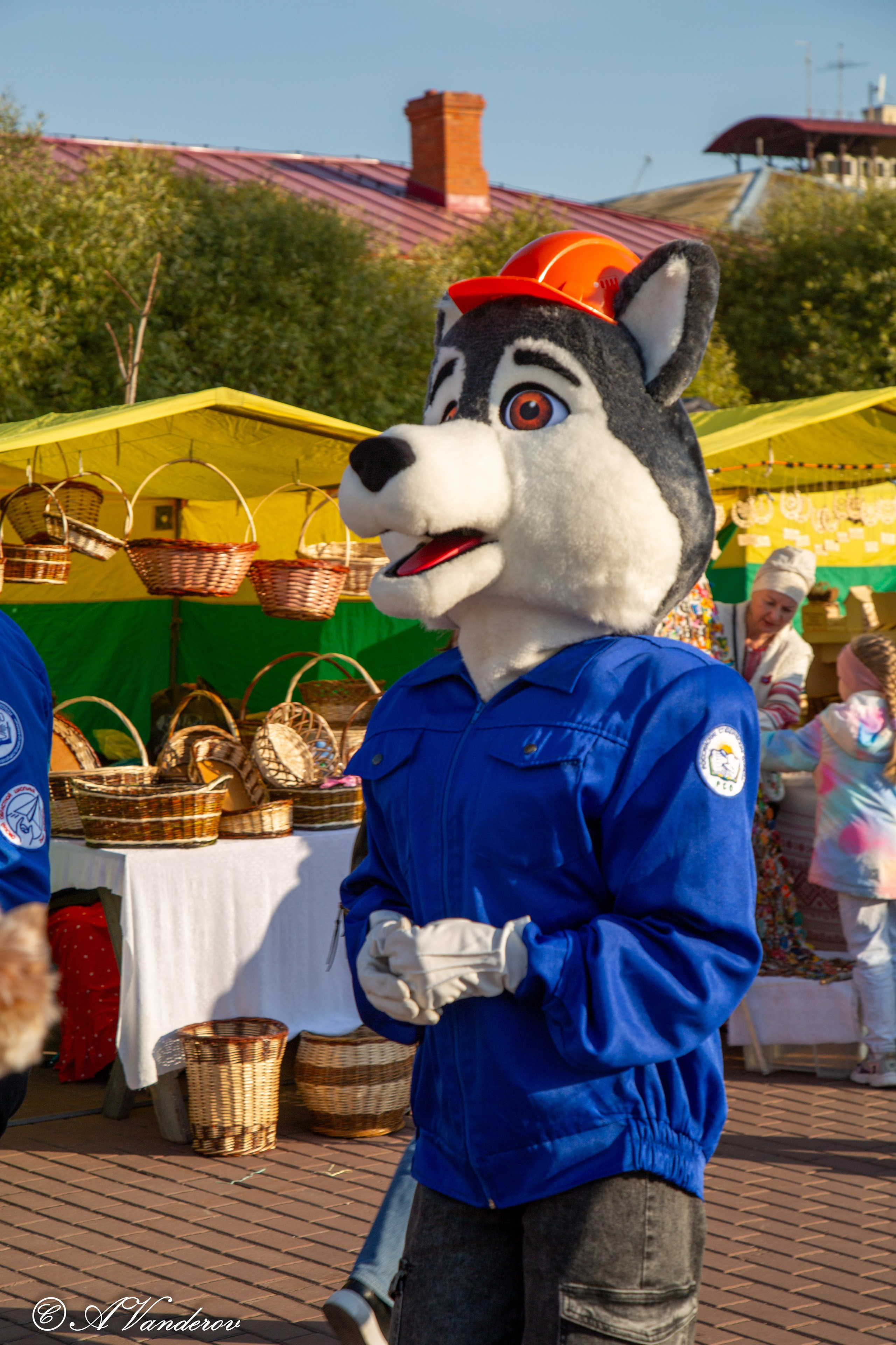 Осенины — 28.09.2024. Фотограф Омск | Александр Вандеров