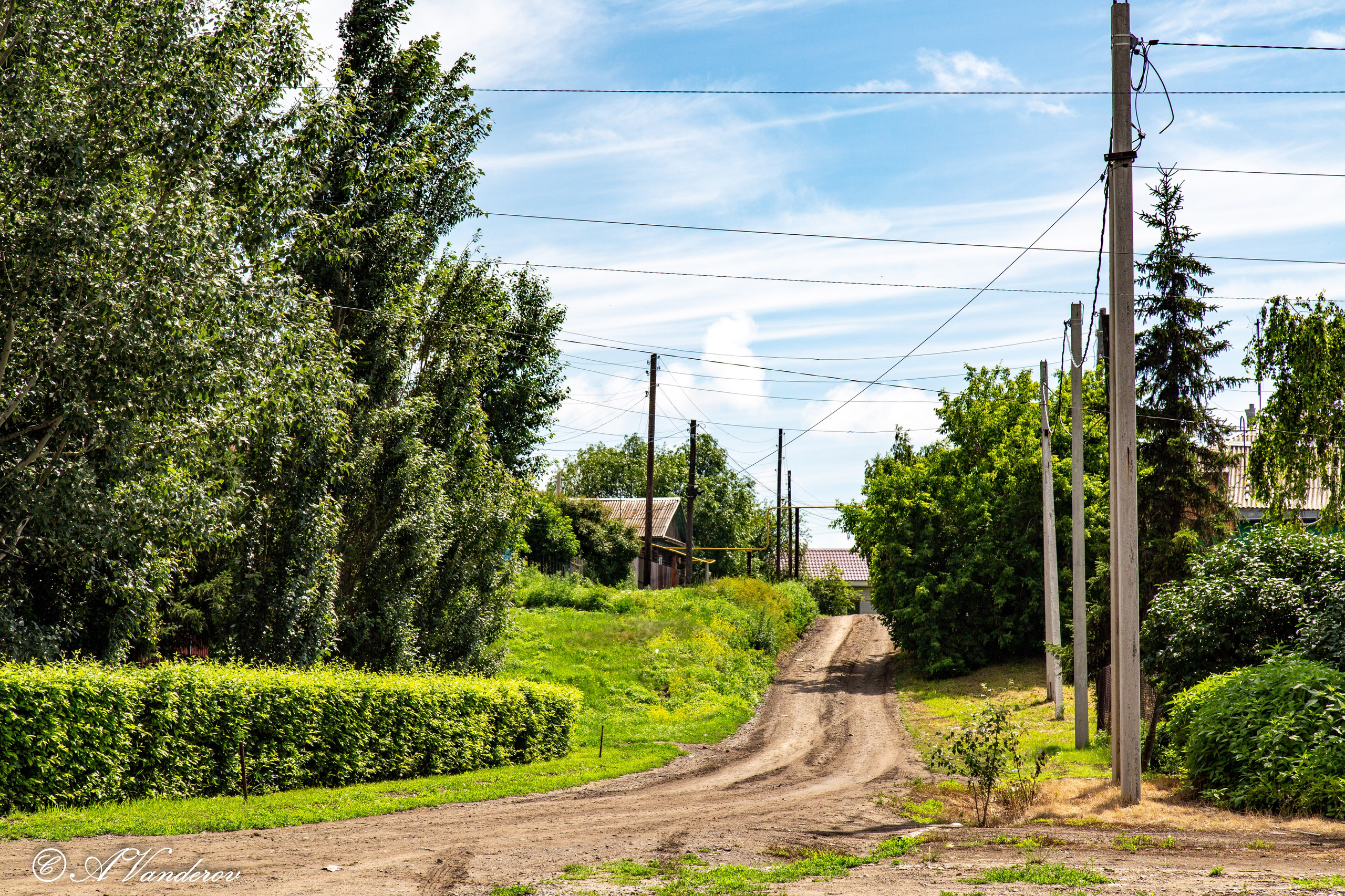 Калачинск 07.07.2024. Фотограф Омск | Александр Вандеров