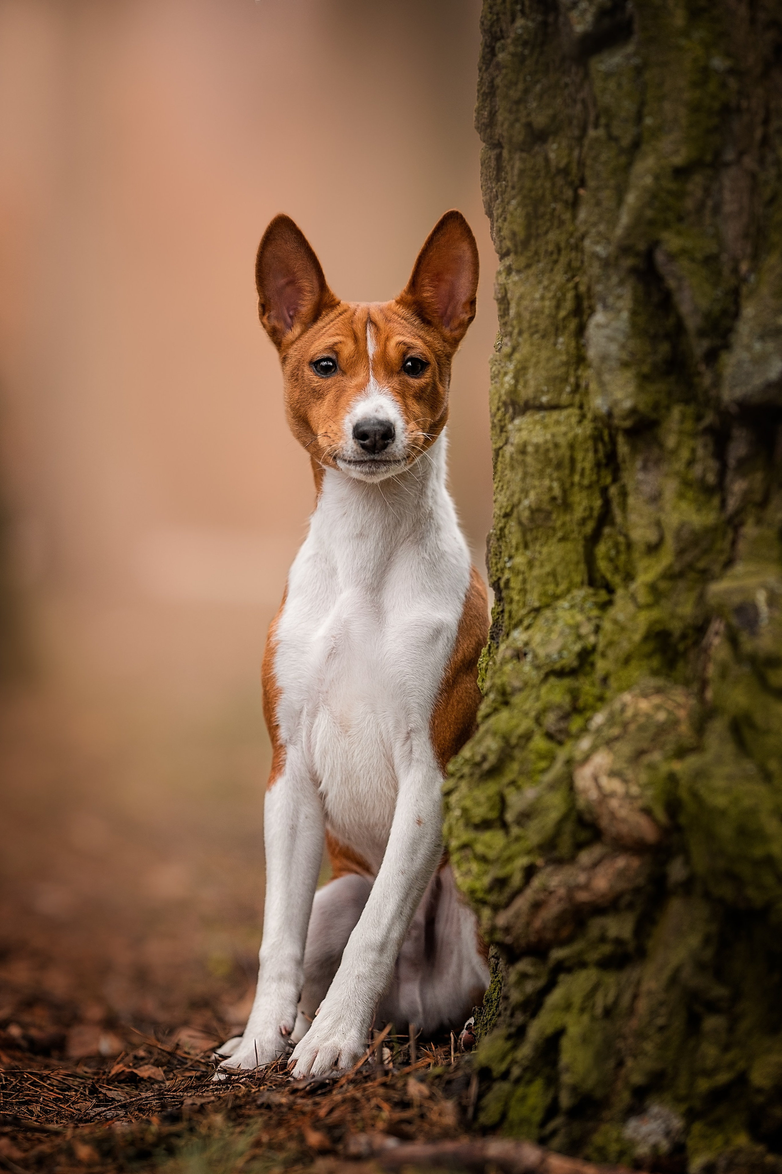 Анималистика. Репортажный фотограф Мария Мадзик