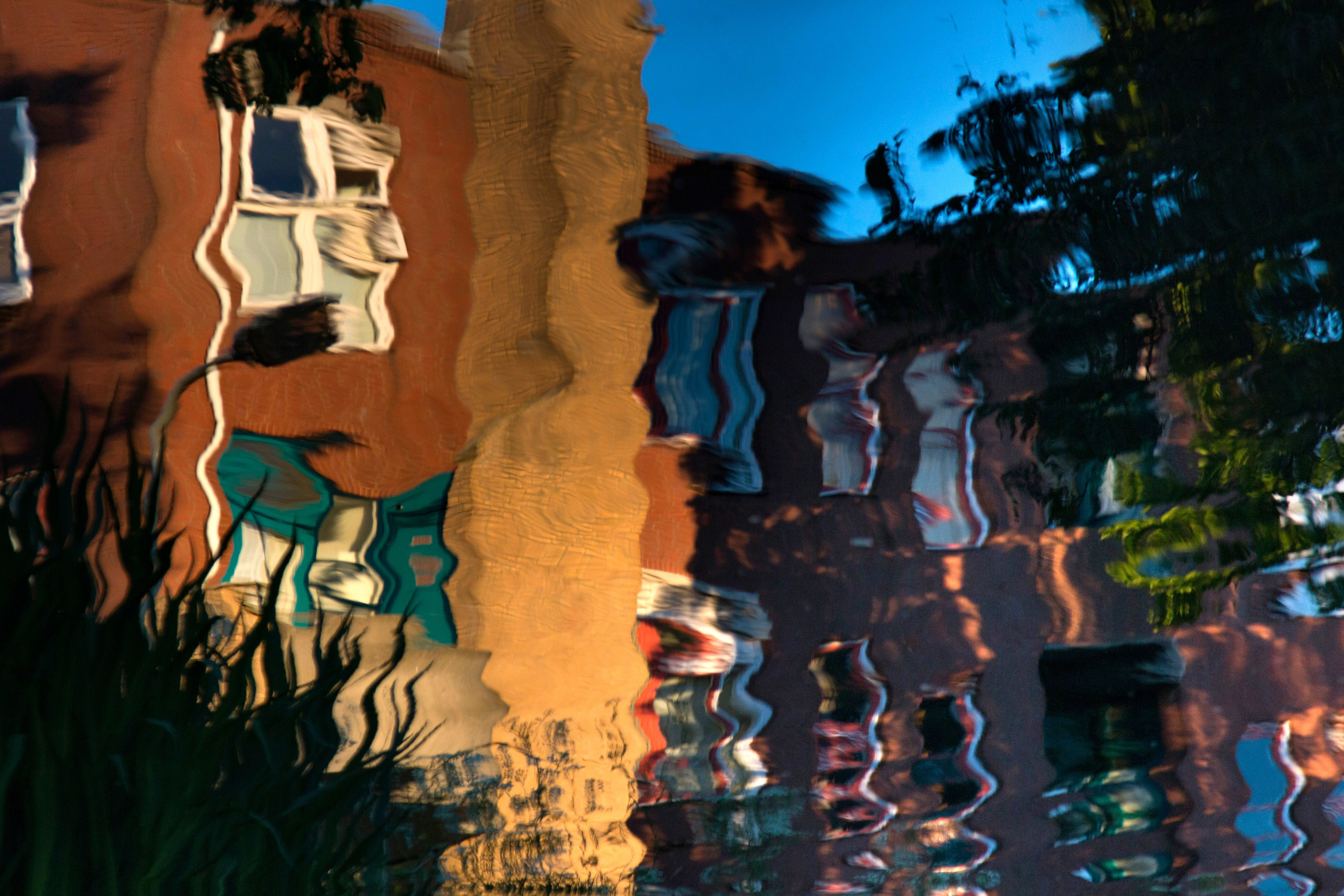 Фото. Фотограф Лагутин Анатолий