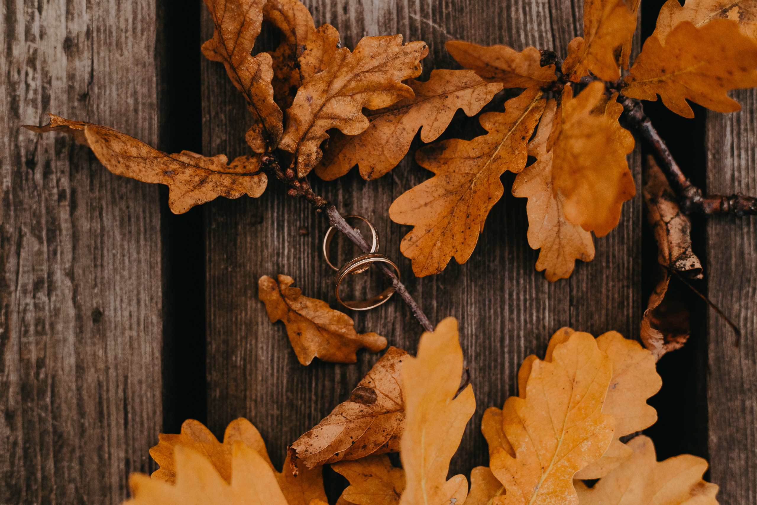 Леша & Оля. Свадебный и семейный фотограф во Владимире Белашова Анастасия