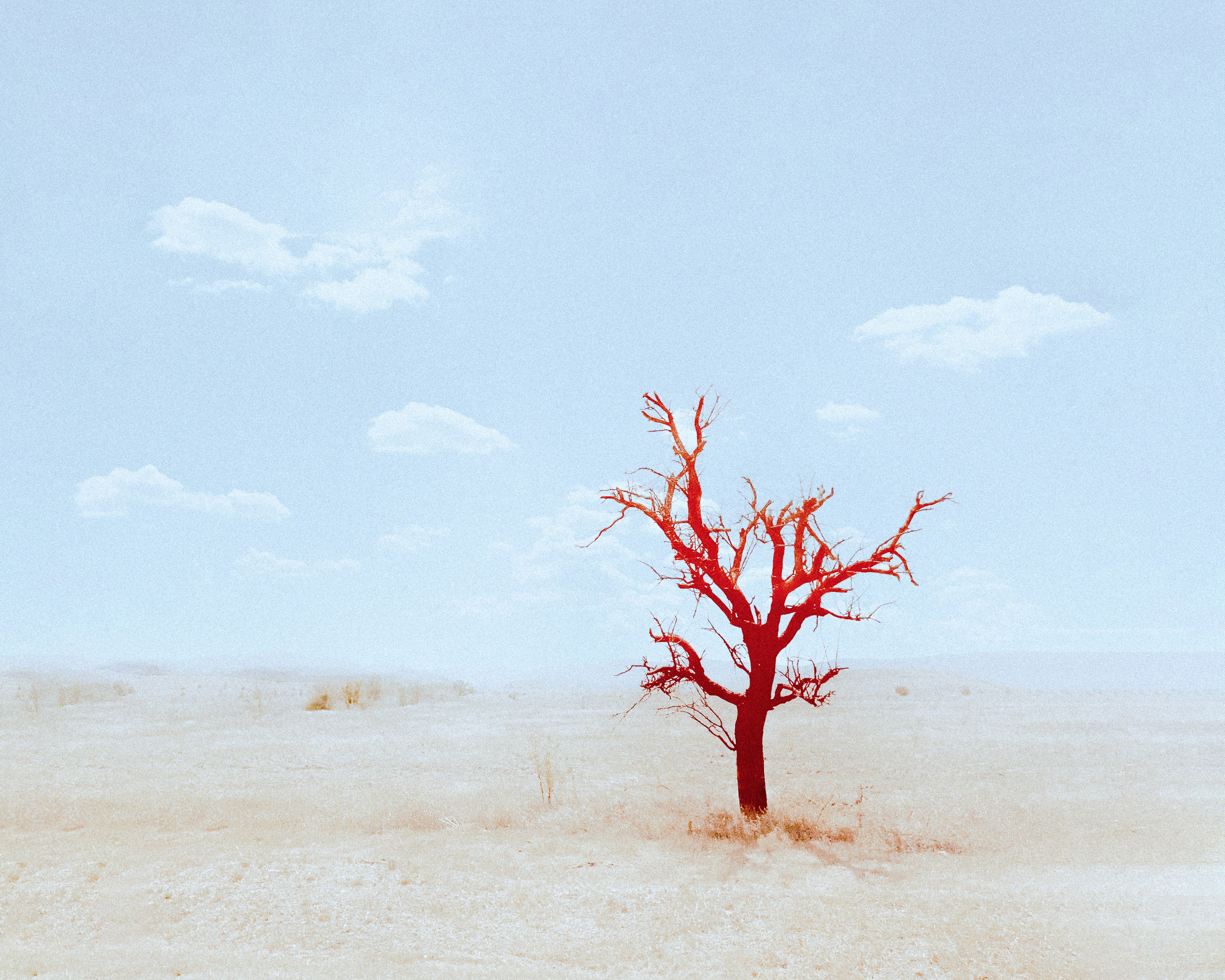 Сафонов Владислав, фотохудожник