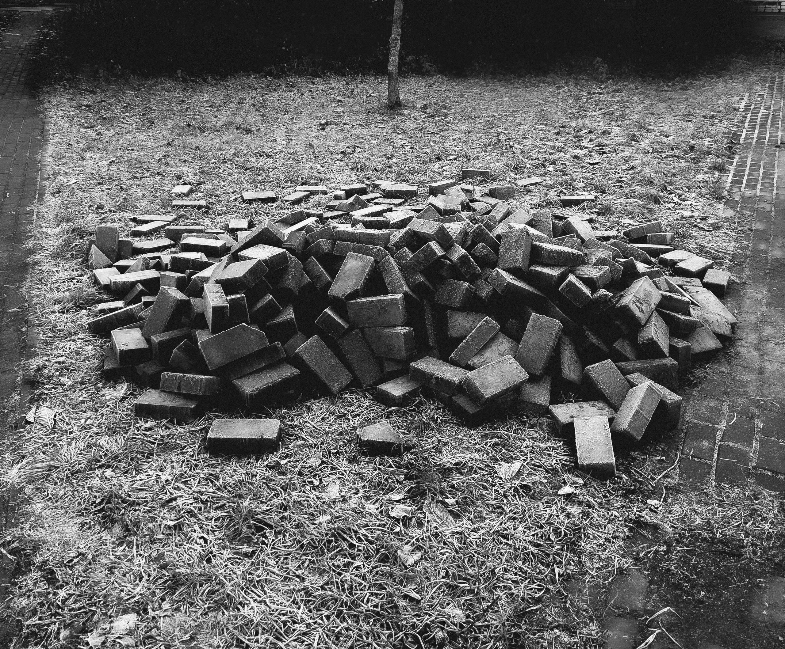 Точка черного. Сафонов Владислав, фотохудожник