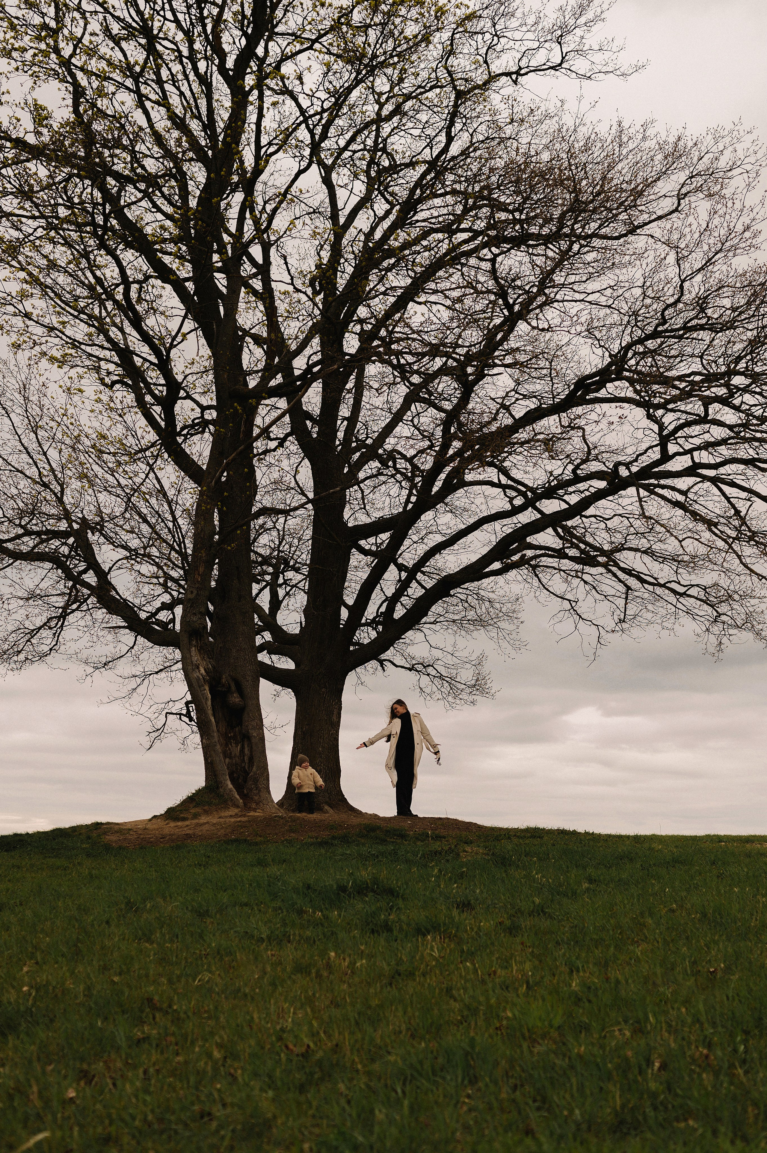 Карина и Марк. Эльвира Жижикина. Семейный фотограф в Санкт-Петербурге
