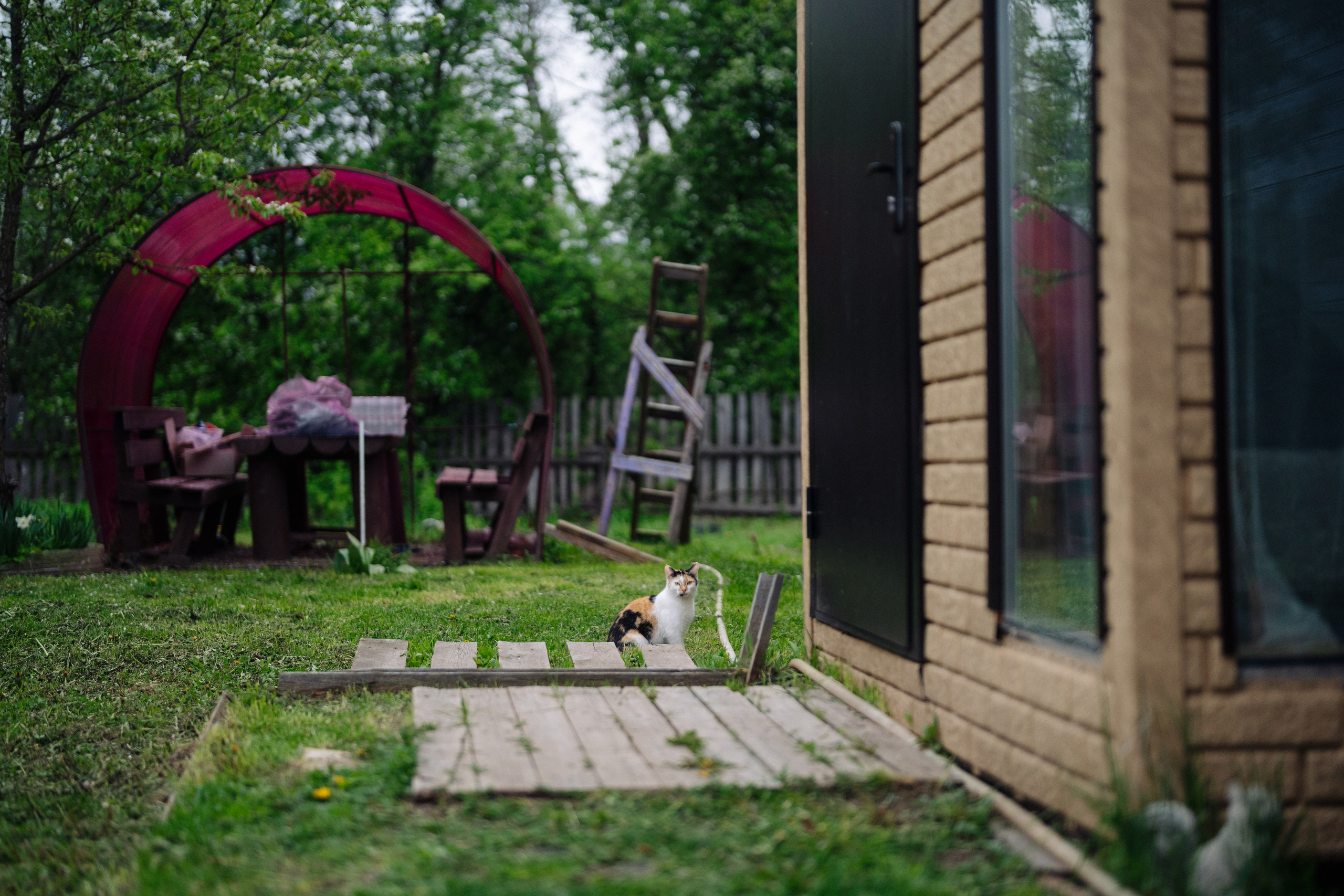 Сюжет № 7|Вопреки привычному