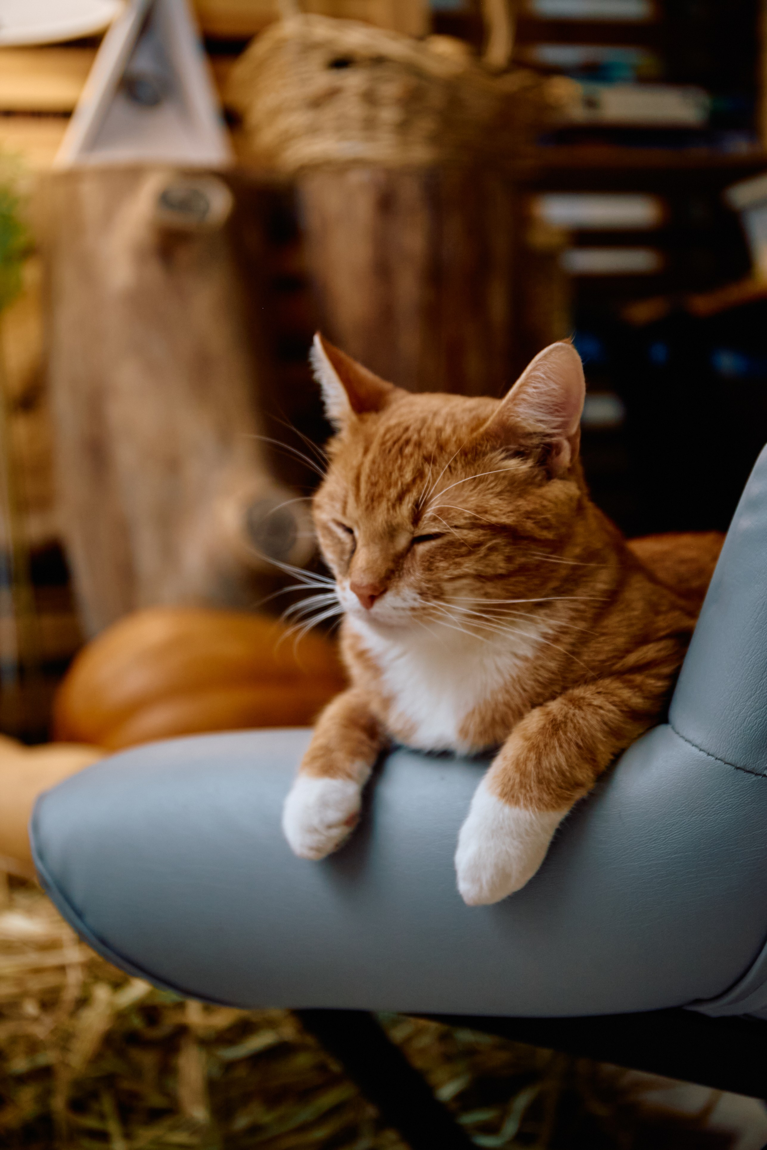 ФотоДень Хеллуин. Предметный фотограф в Москве Дарья Радькович