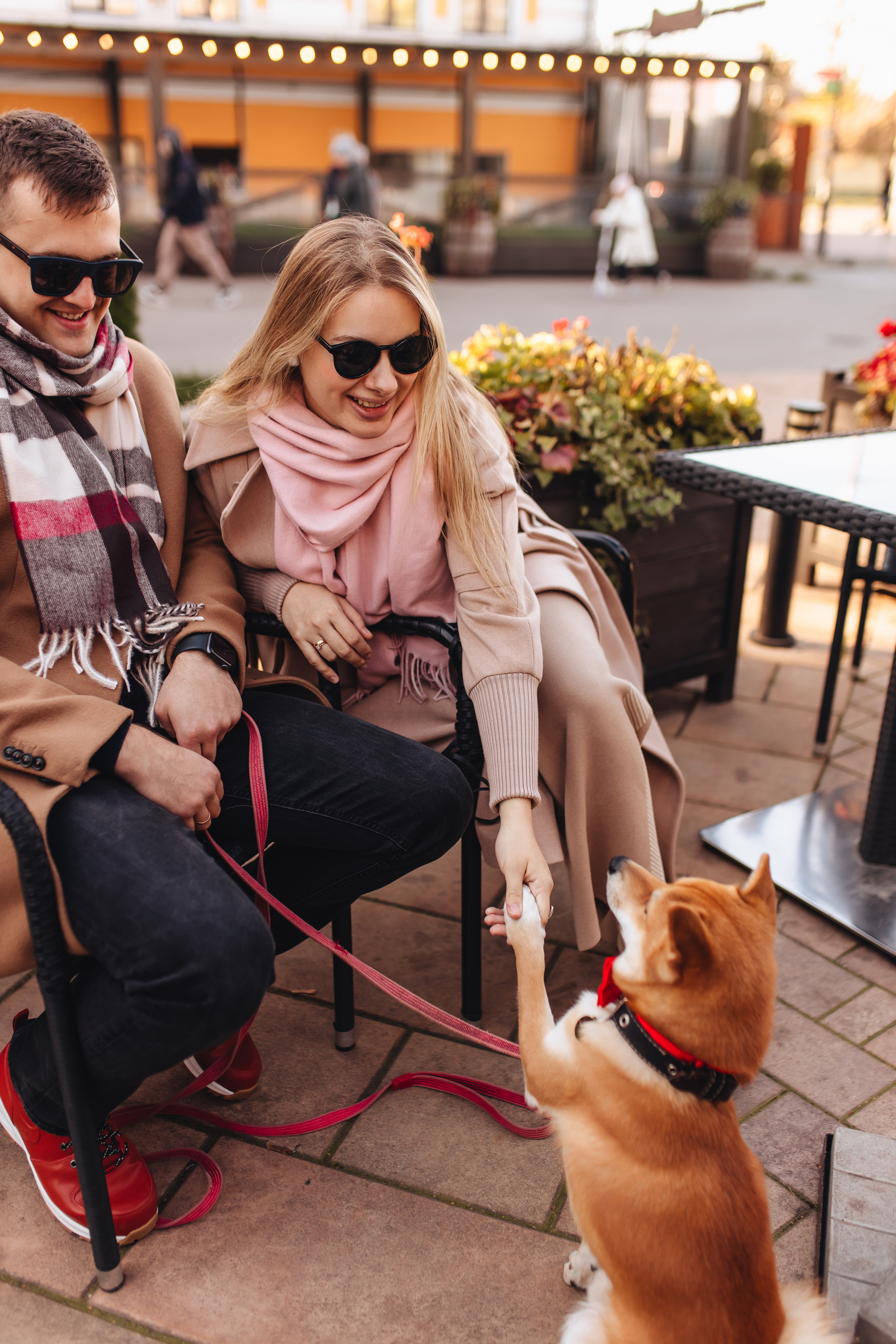 Антон, Соня и Симба. Свадебный и семейный фотограф в Туле и области Маша Костина