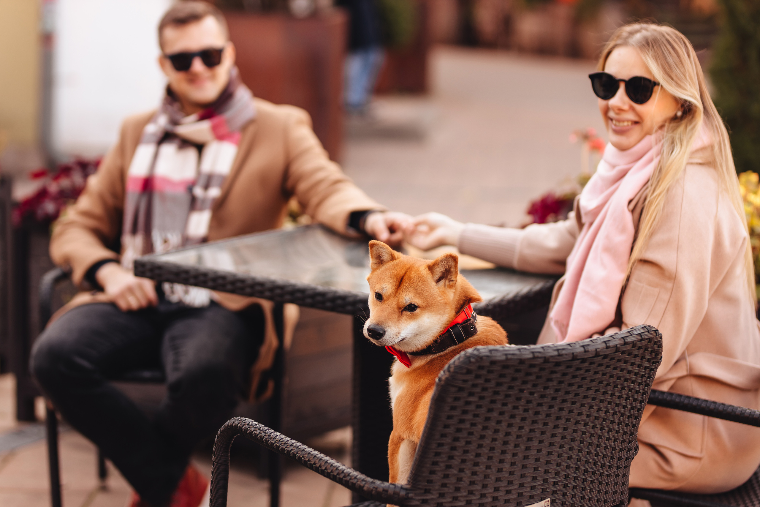 Антон, Соня и Симба. Свадебный и семейный фотограф в Туле и области Маша Костина