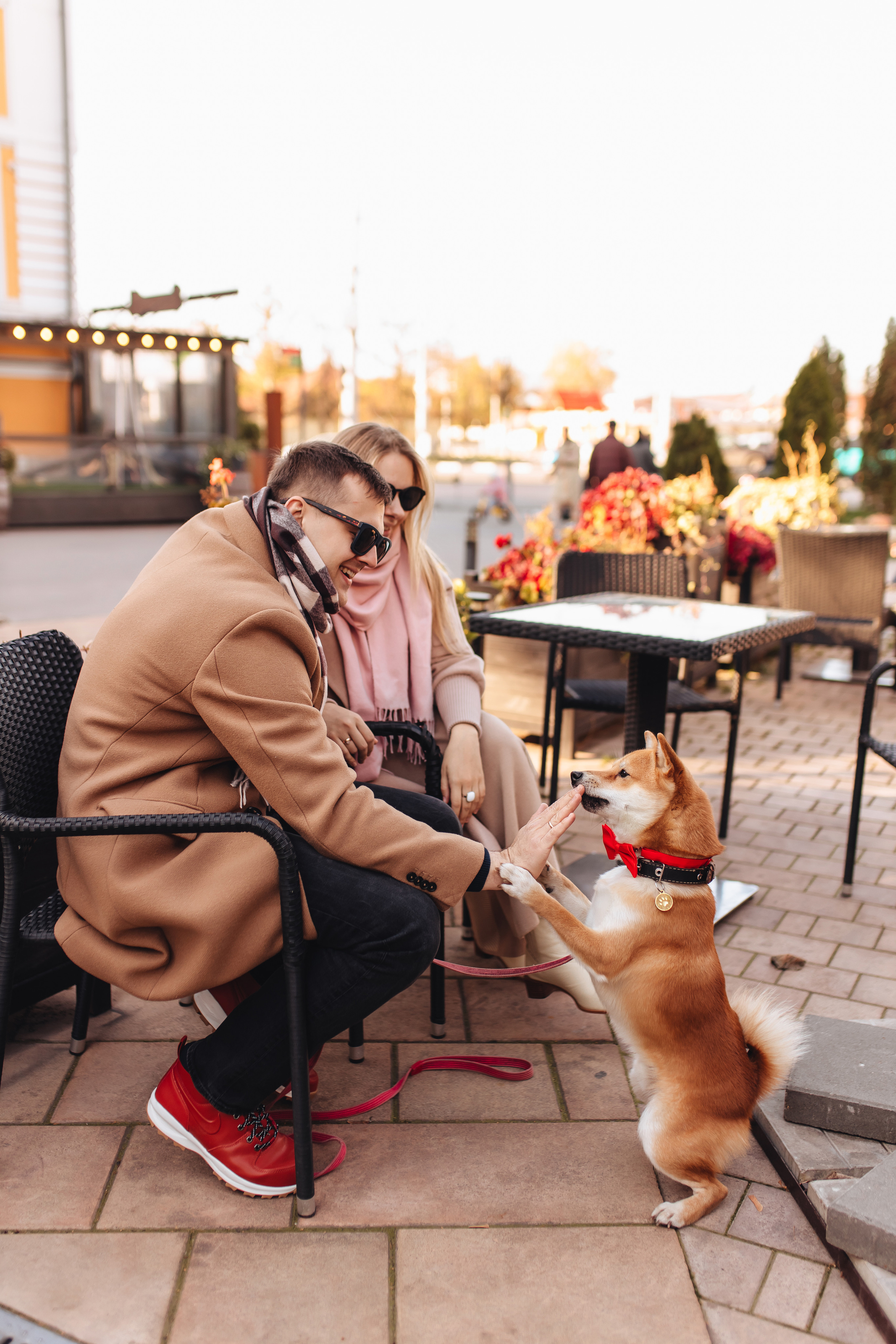 Антон, Соня и Симба. Свадебный и семейный фотограф в Туле и области Маша Костина