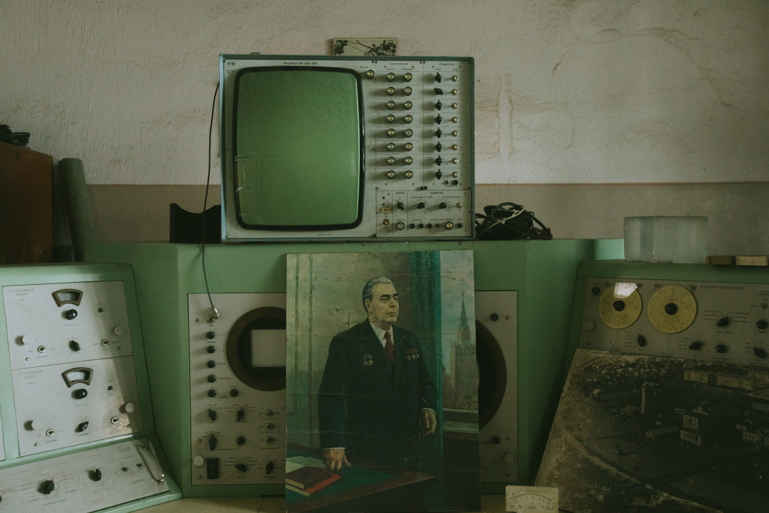 About trees, insects and humans. Natalya Madilyan