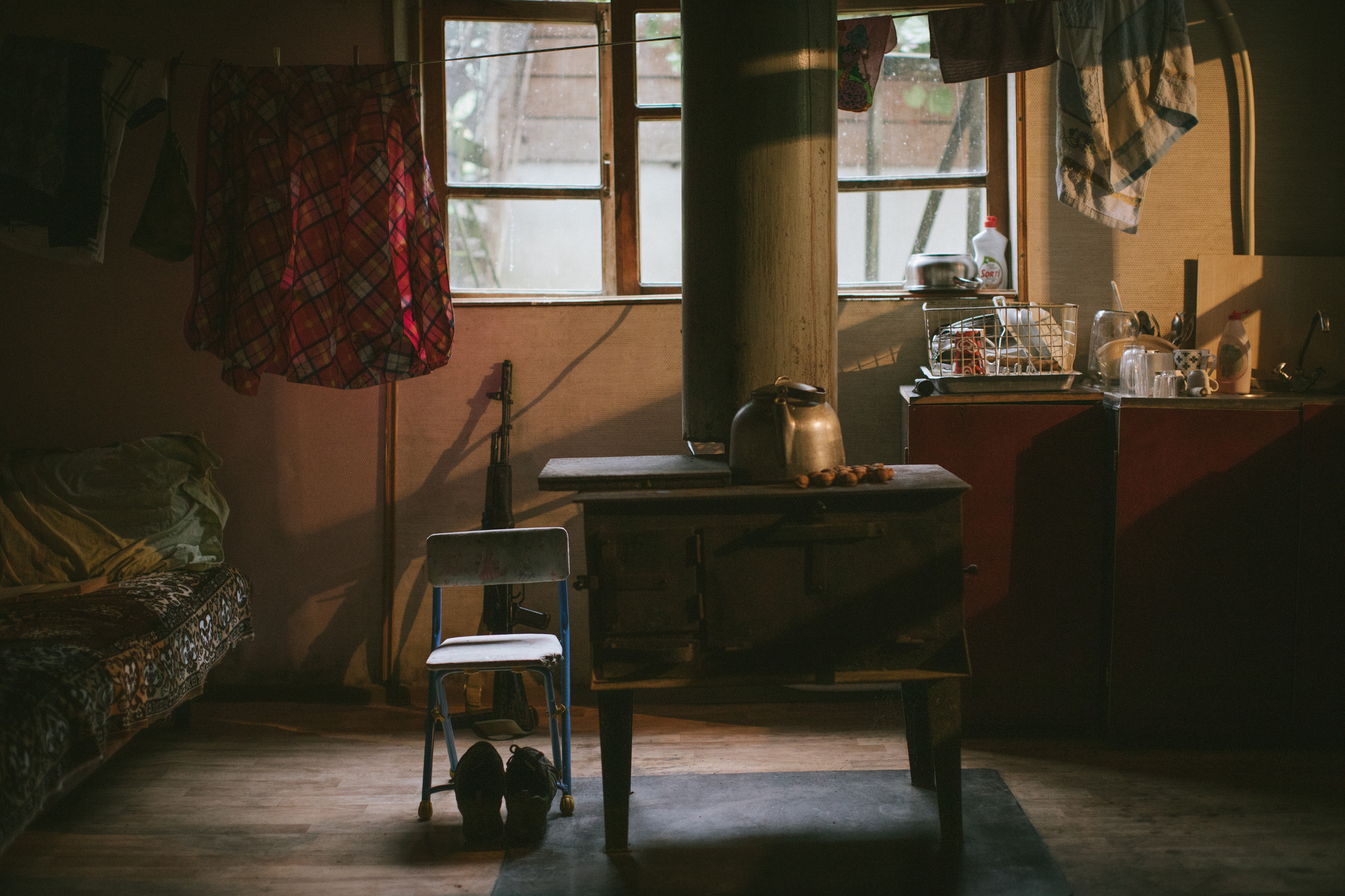 About trees, insects and humans. Natalya Madilyan