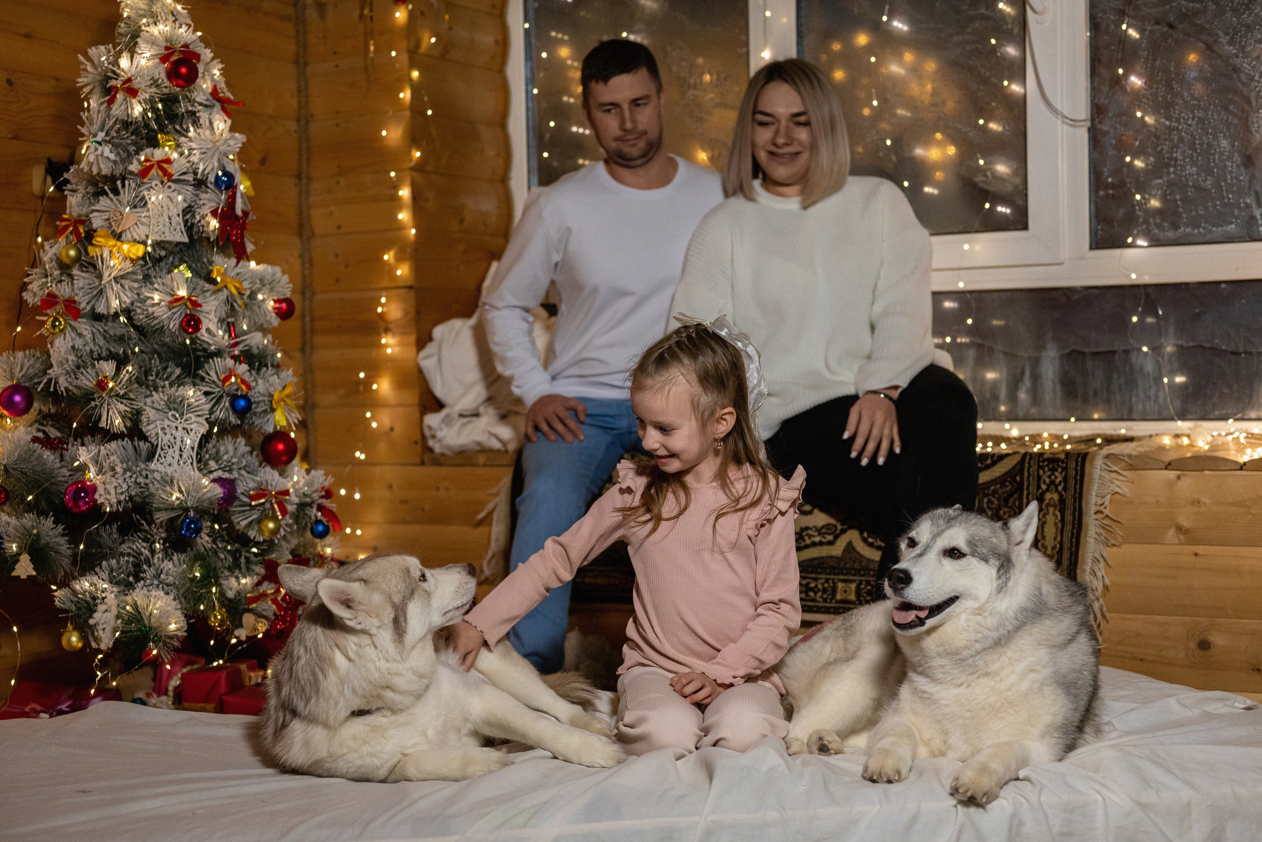 Фотопроект с хаски 2024 г. Фотограф в городе Салават