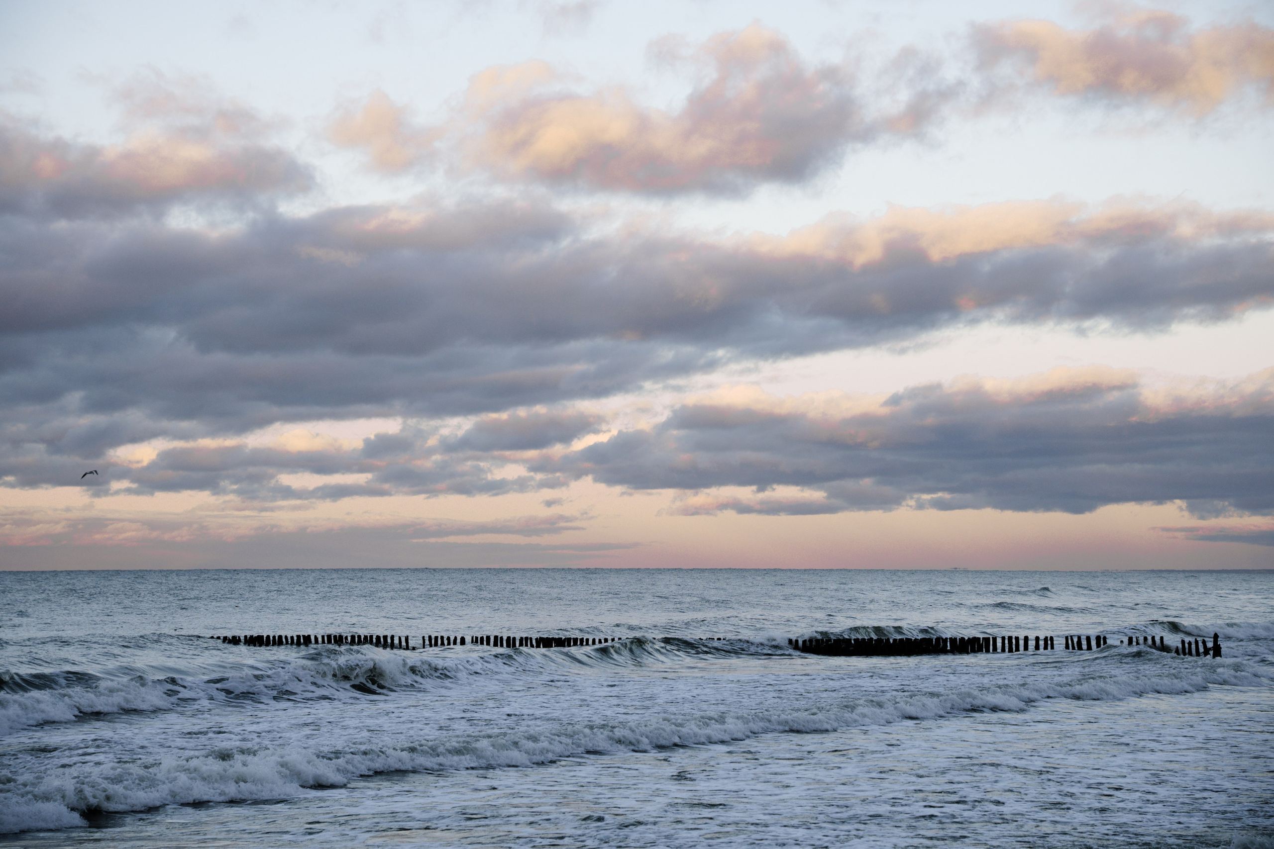 Калининград 2025. Легкая фотография