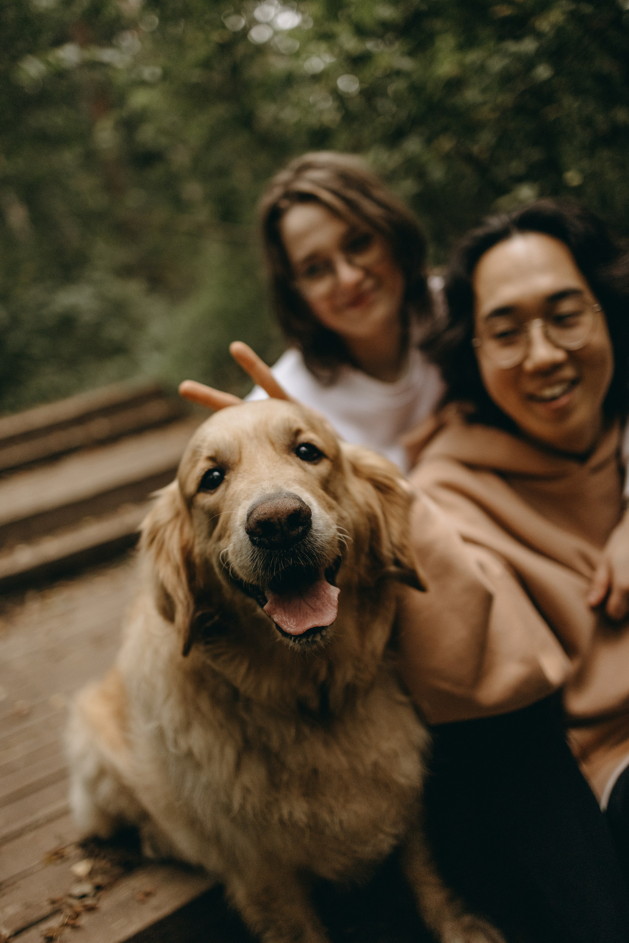 Фоси и его семьи. Фотограф — Анималист | Санкт-Петербург