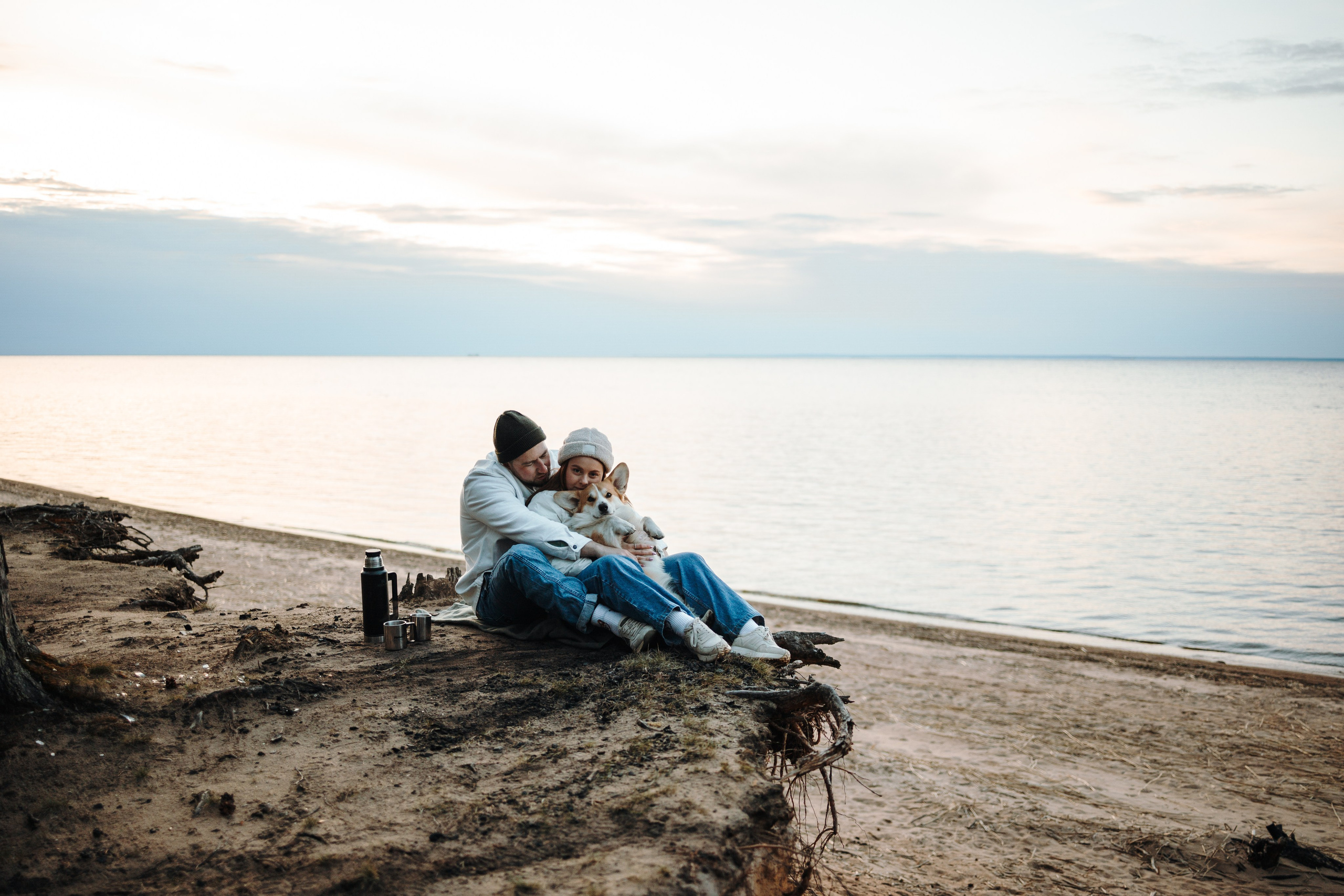 Найт и его семья. Фотограф — Анималист | Санкт-Петербург