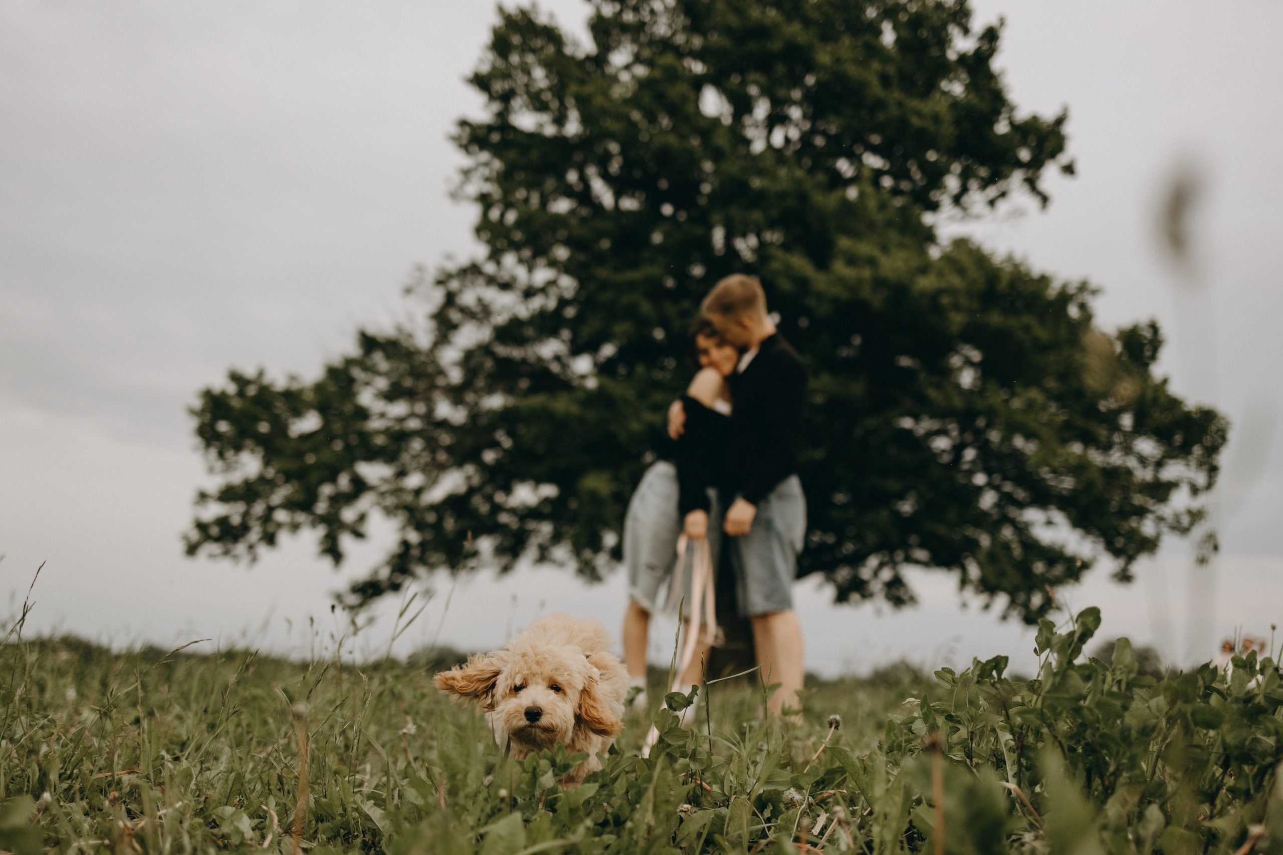 Мия и ее семья. Фотограф — Анималист | Санкт-Петербург