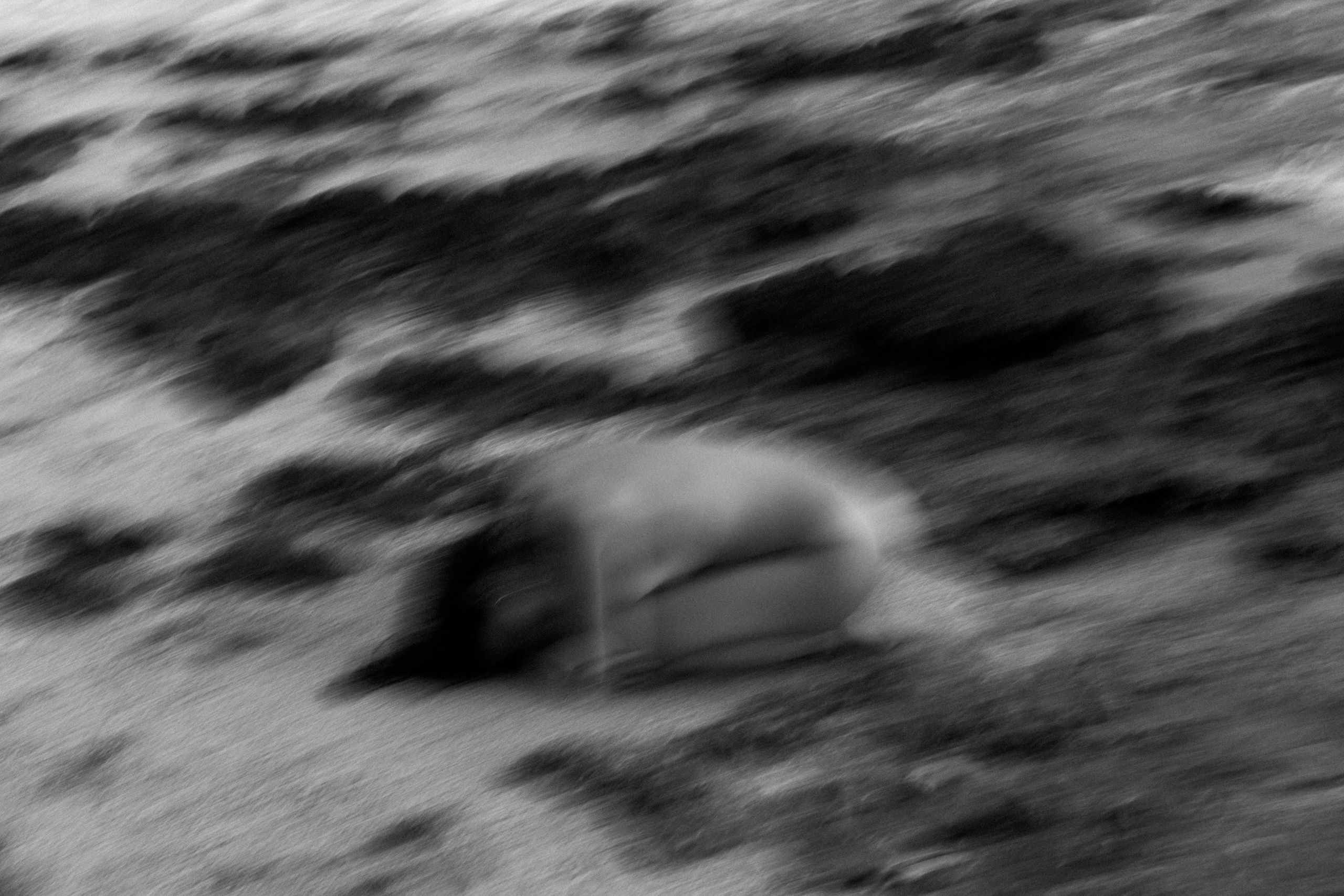 Арт-коллаборация на Шри-Ланке с художницей из Берлина. Фотограф Москва Жуковский Раменское