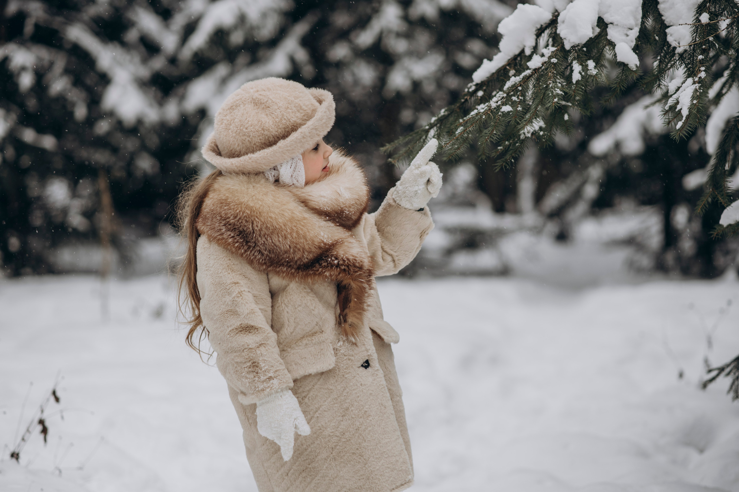 Зимняя фотосессия с Альпаками. Свадебный фотограф в Дмитрове