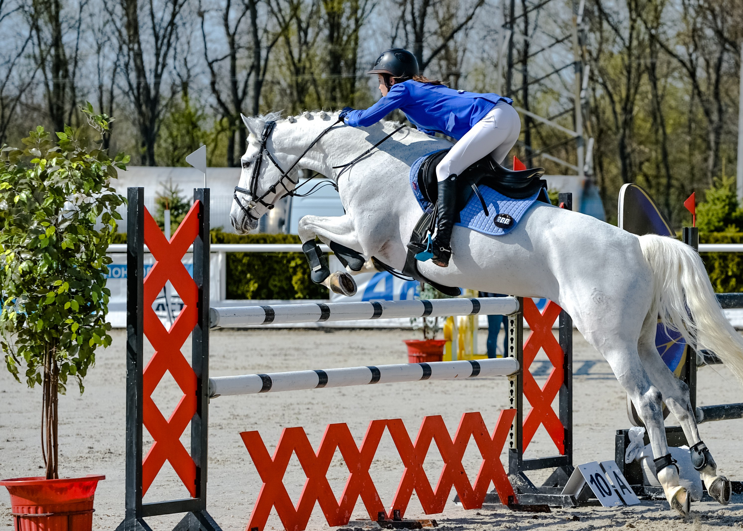 Репортаж. Съёмка лошадей. Конный портретный фотограф Наталья Шелест