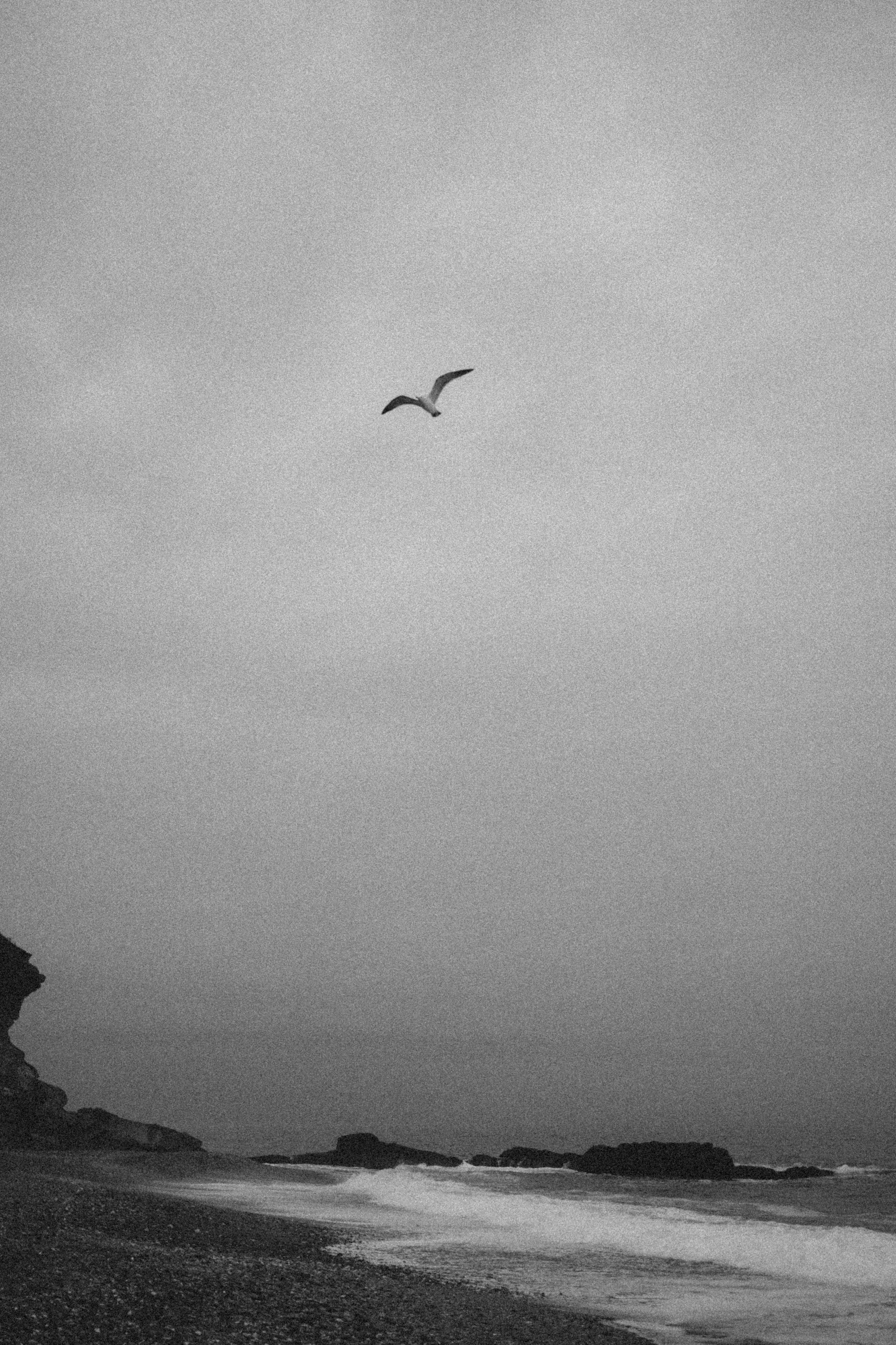 Лолита. Фотограф Виктория Куприянова