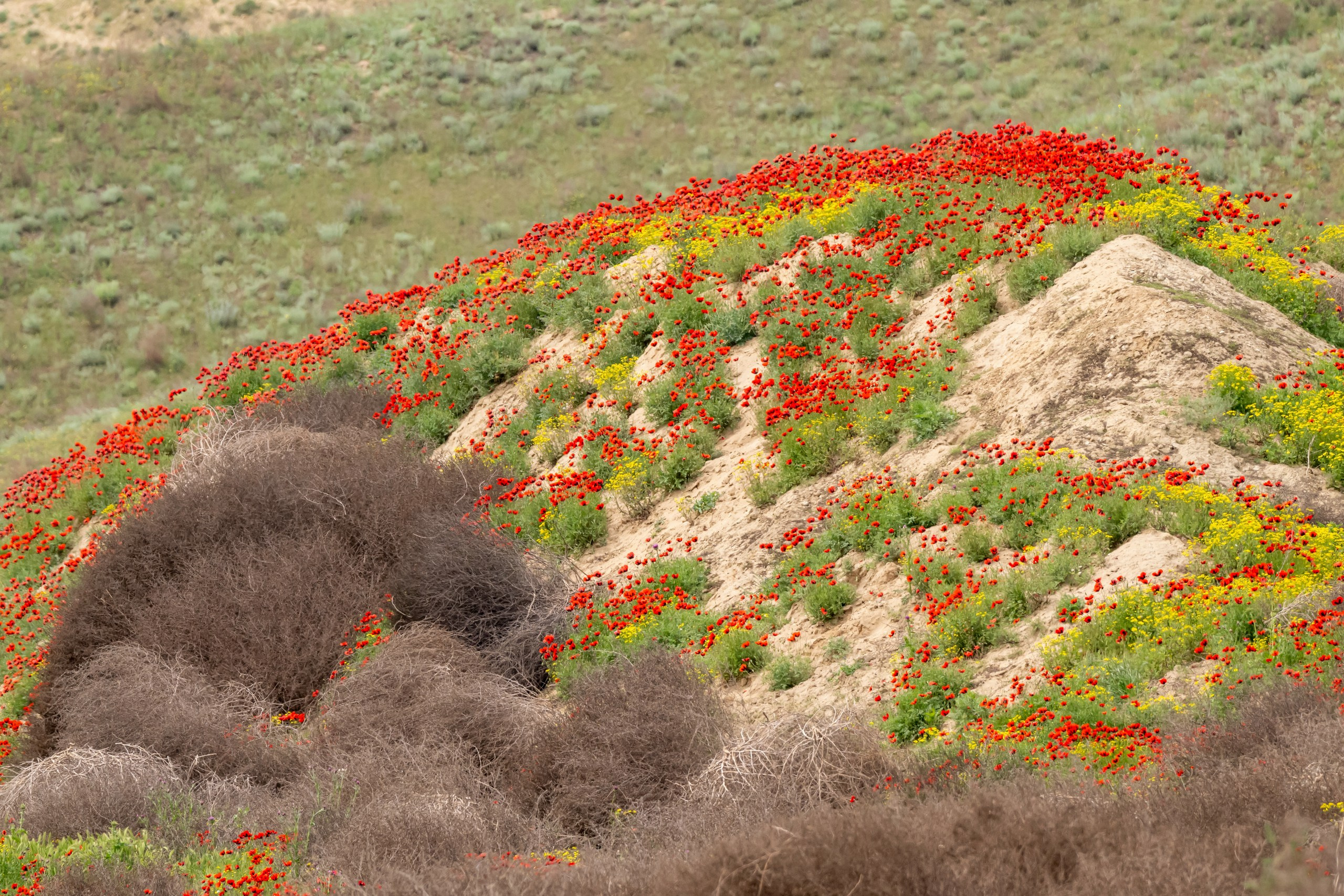 Пейзажный фотограф, Фотографии дикой природы. Foto-Zuev фотография как искусство